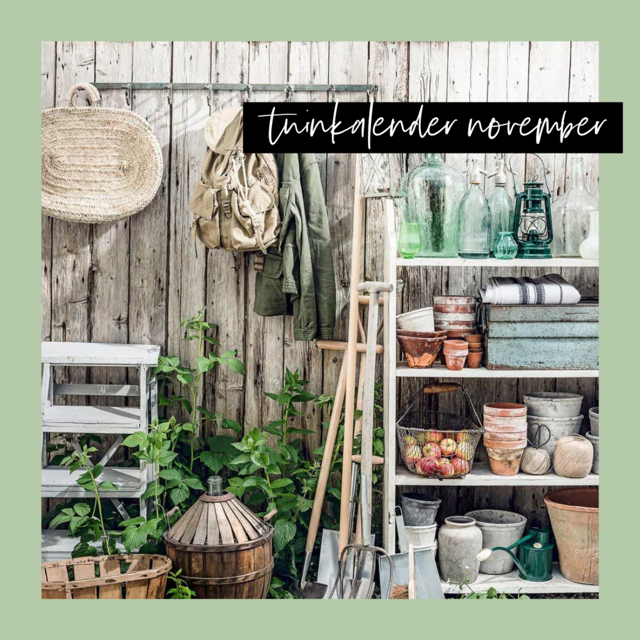 Tuinkalender voor de maand november