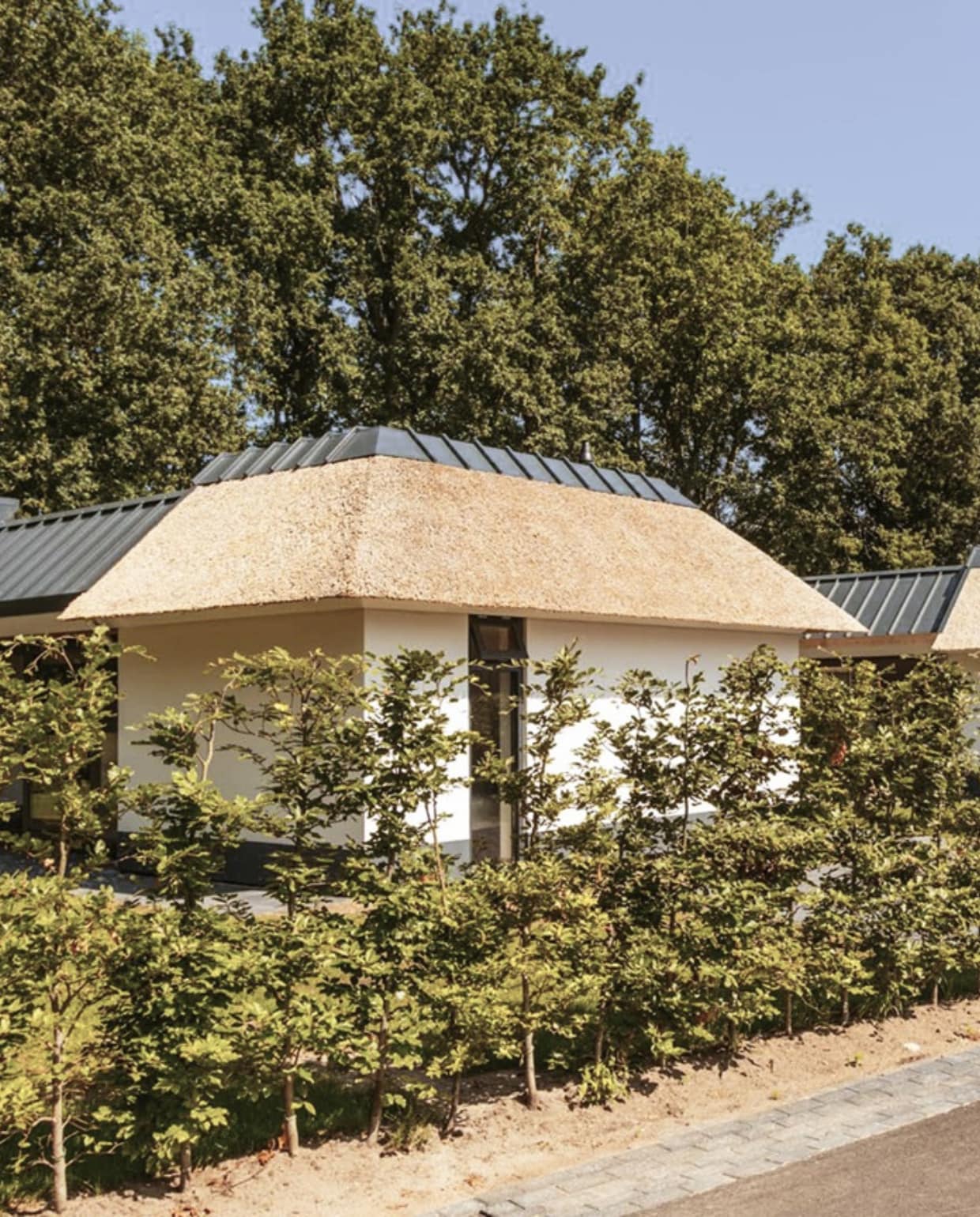 Dutchen suitelodges huisdieren toegestaan Gooilanden Dutchen suitelodges