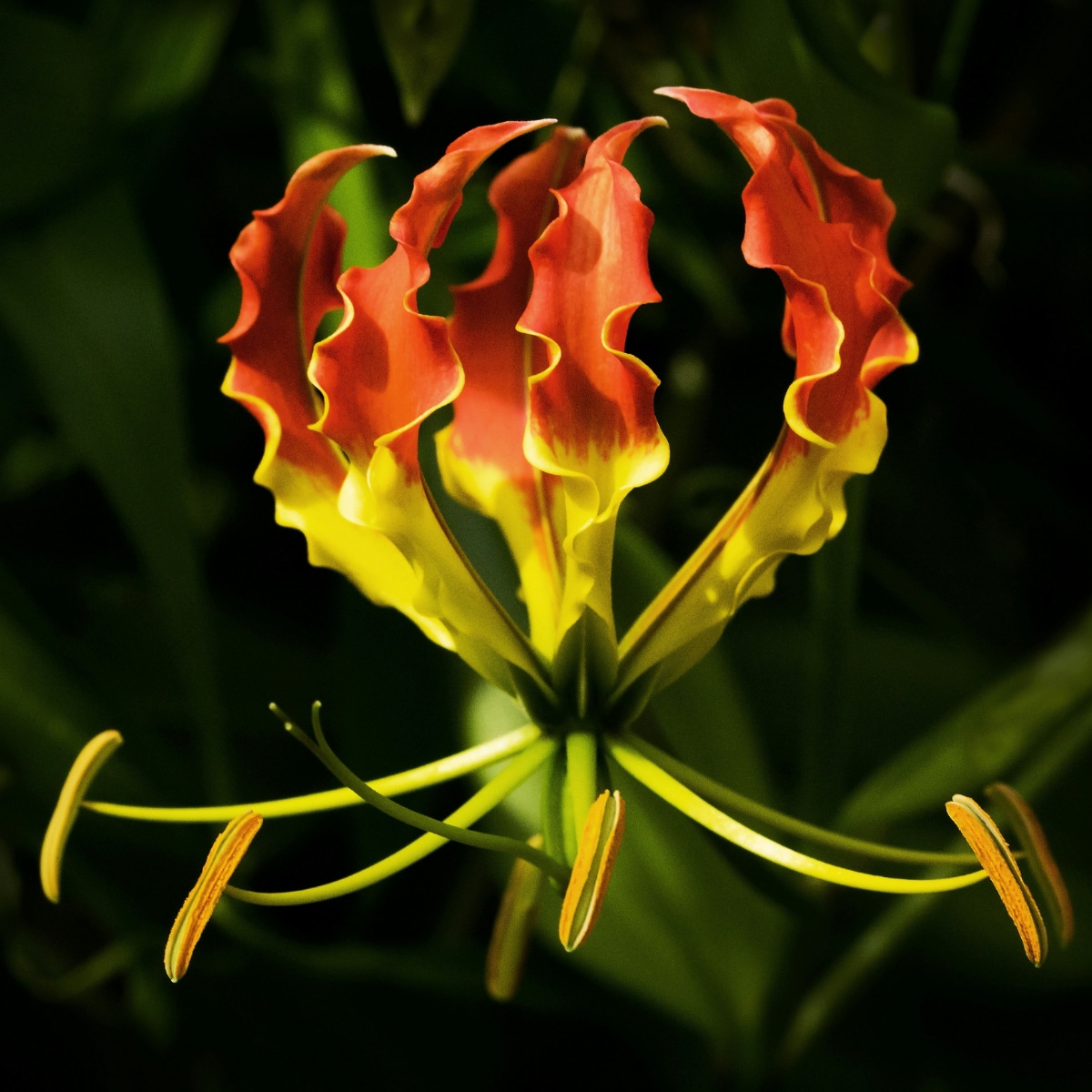beeld via Unsplash beeld via Unsplash