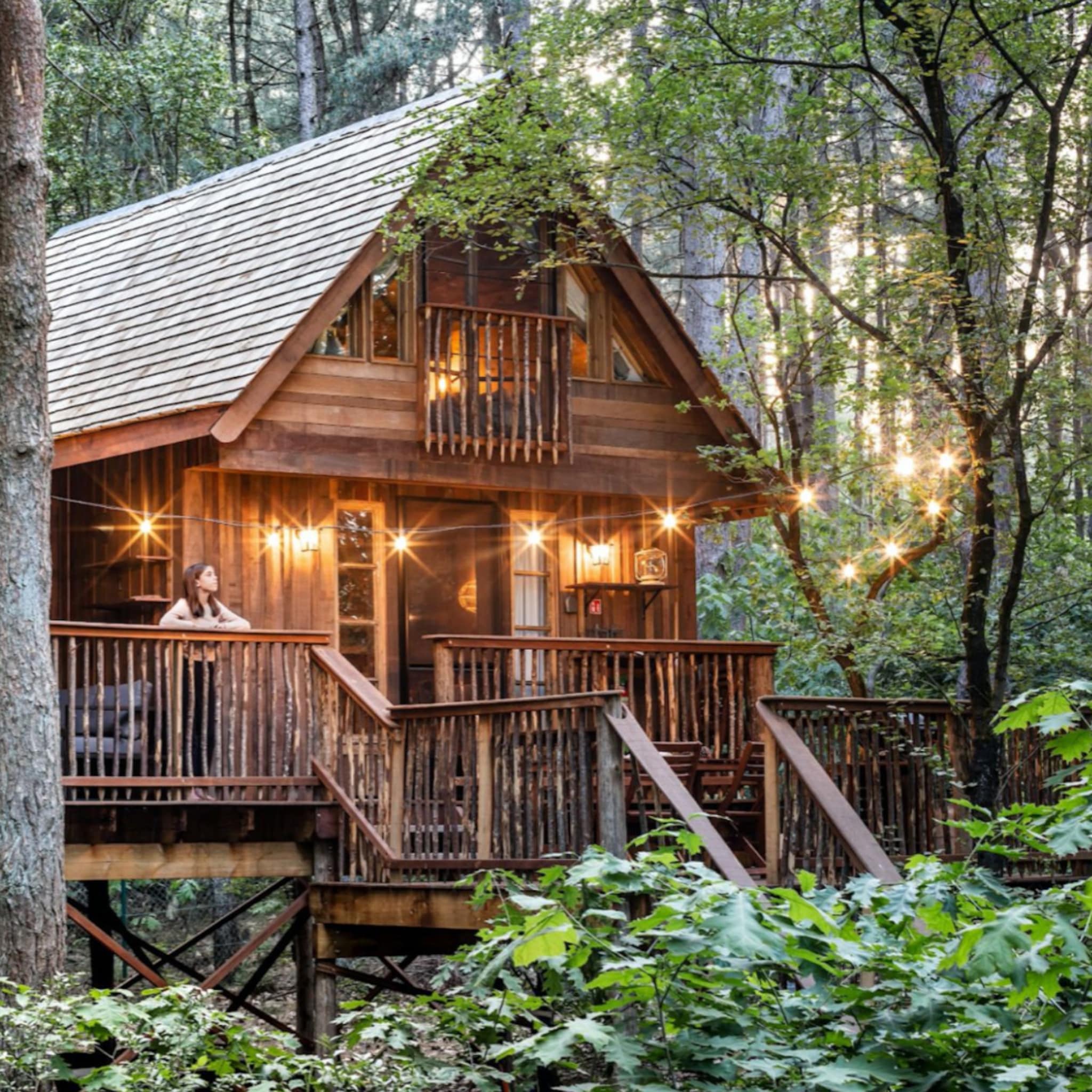 Hotspots getaway voor 2 - treelodge