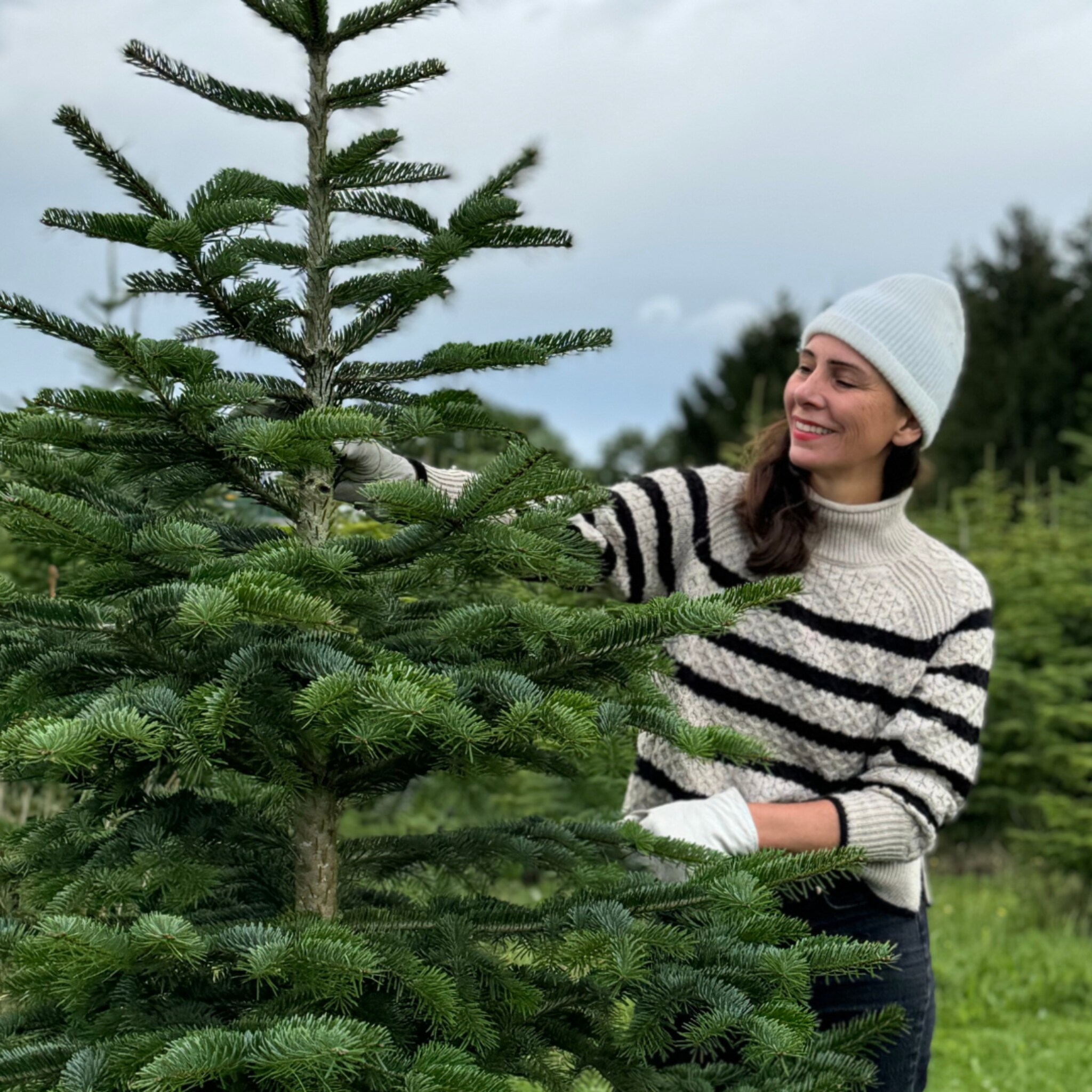 linkinbio-20241130-kerstbomen-zagen