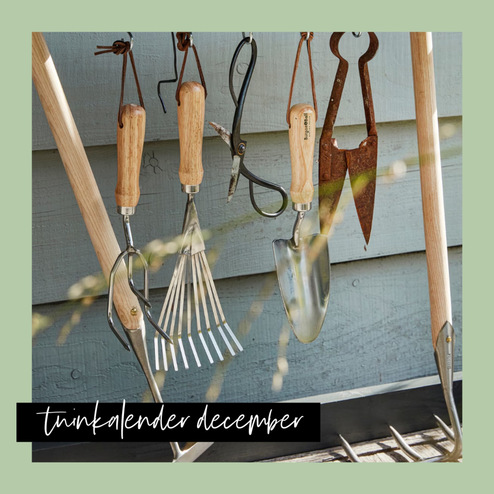 Tuinkalender december