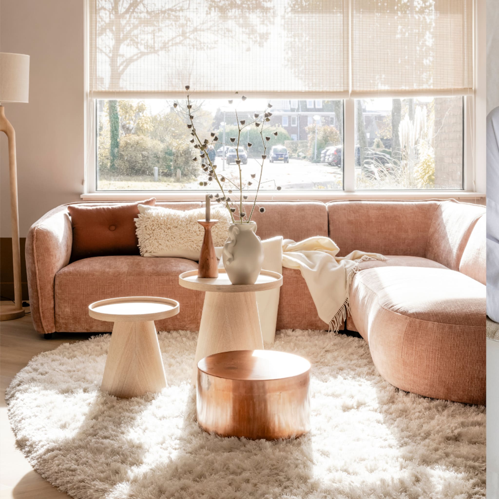 Woonkamer met een roze bank en een wit fluffy vloerkleed