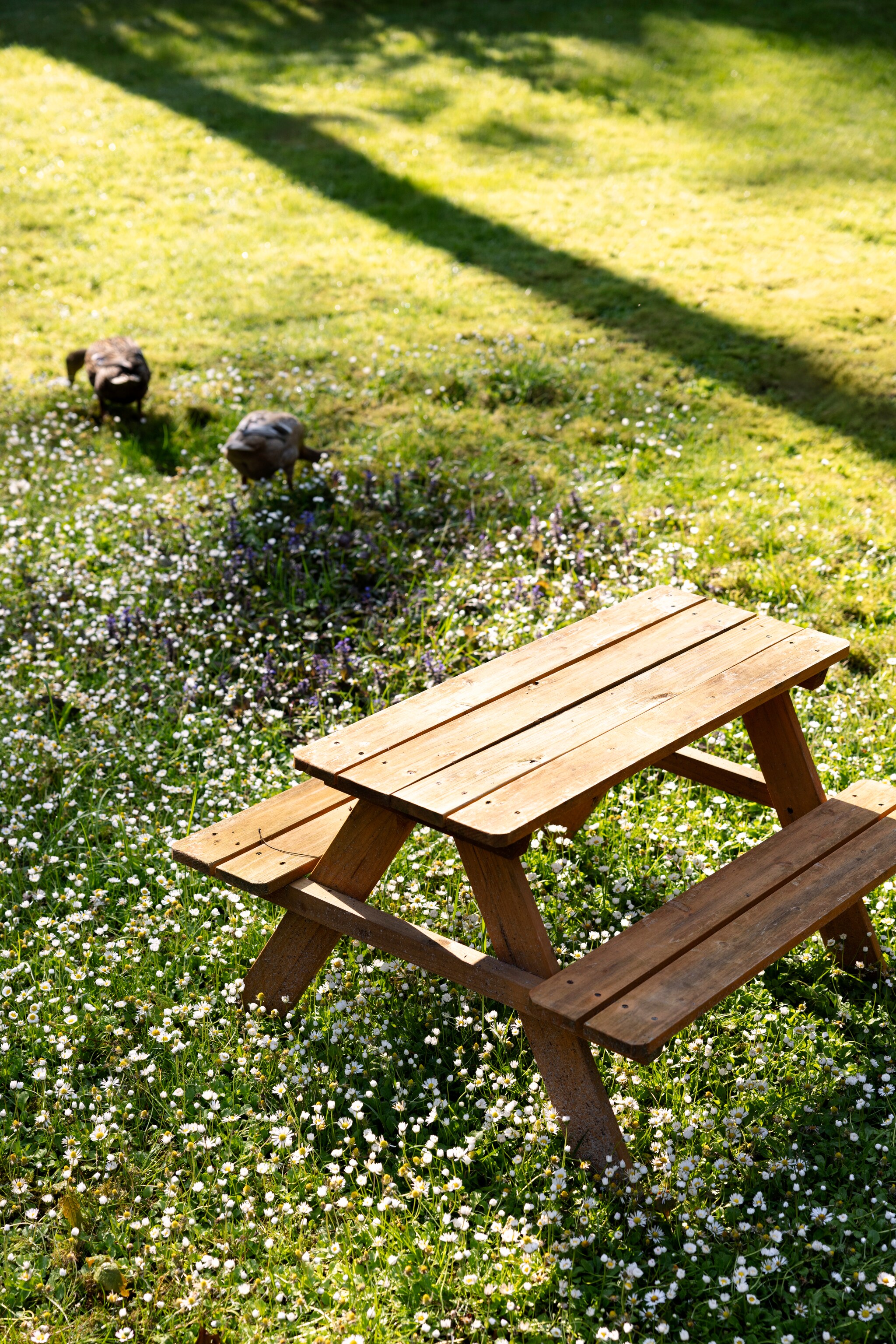 Kinderpicknicktafel Livarno Home via Lidl. vtwonen 02-2025 | styling Ilona Jongepier | fotografie Dana van Leeuwen