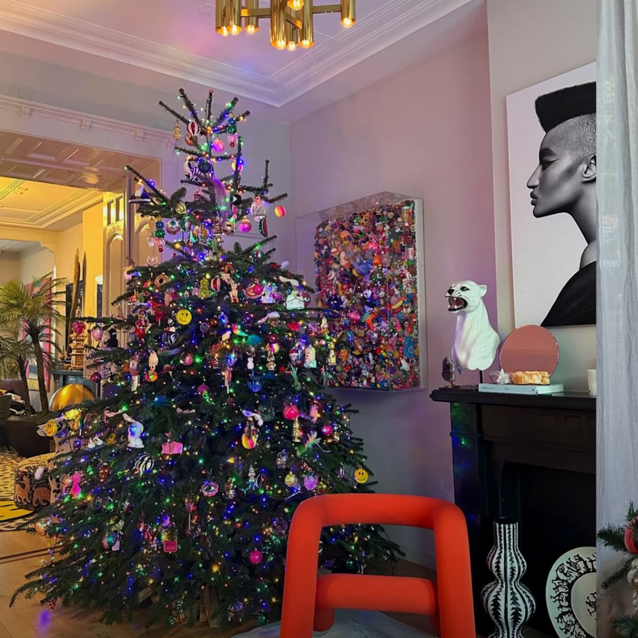 Zo vieren bn'ers kerst, kerstbomen