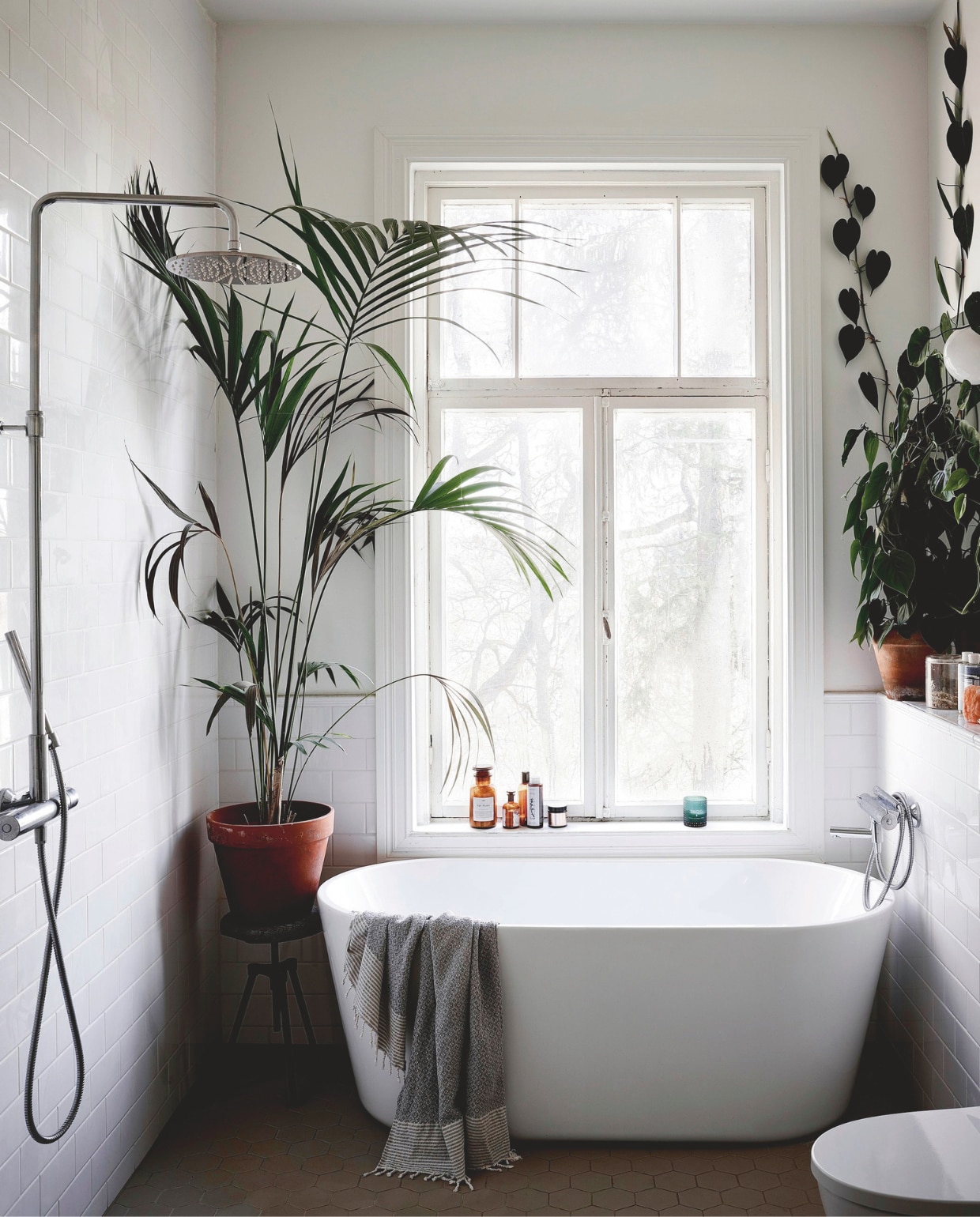 Klimplanten en palmen zorgen voor groen tijdens de lange Finse winters. vtwonen 13-2024 | productie Jonna Kivilahti | fotografie Krista Keltanen