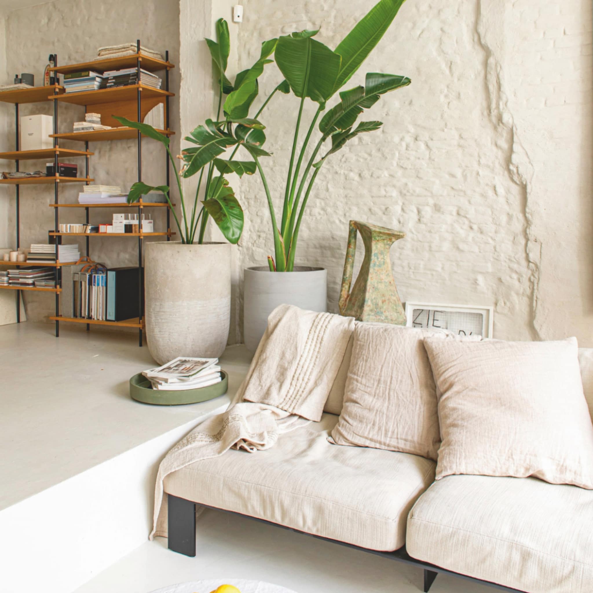 Naturel woonkamer met grote kamerplanten