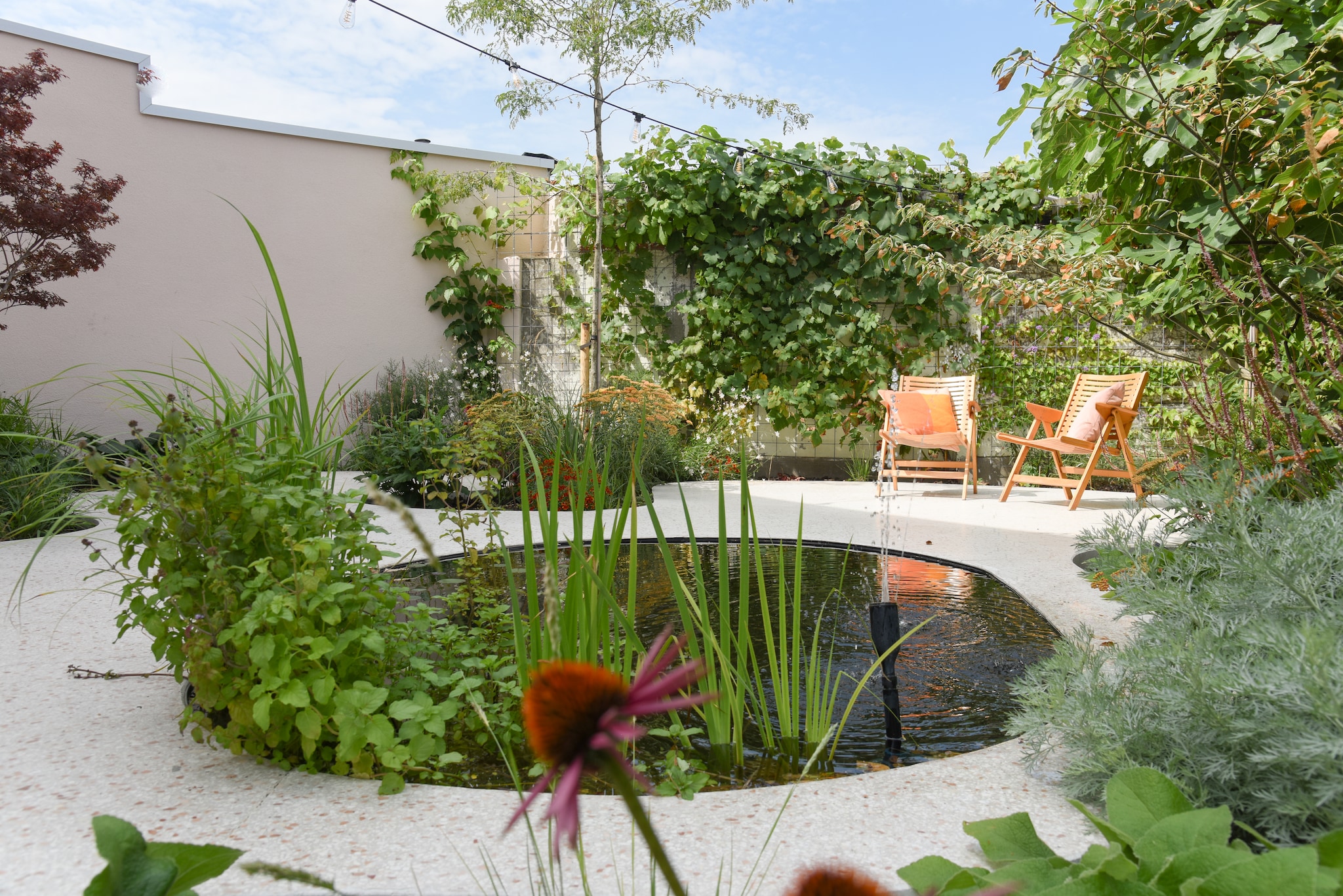 Vijverplanten: watermunt, gele lis en waterlelie. vtwonen TUIN 01-2025 | fotografie Veronique De Walsche
