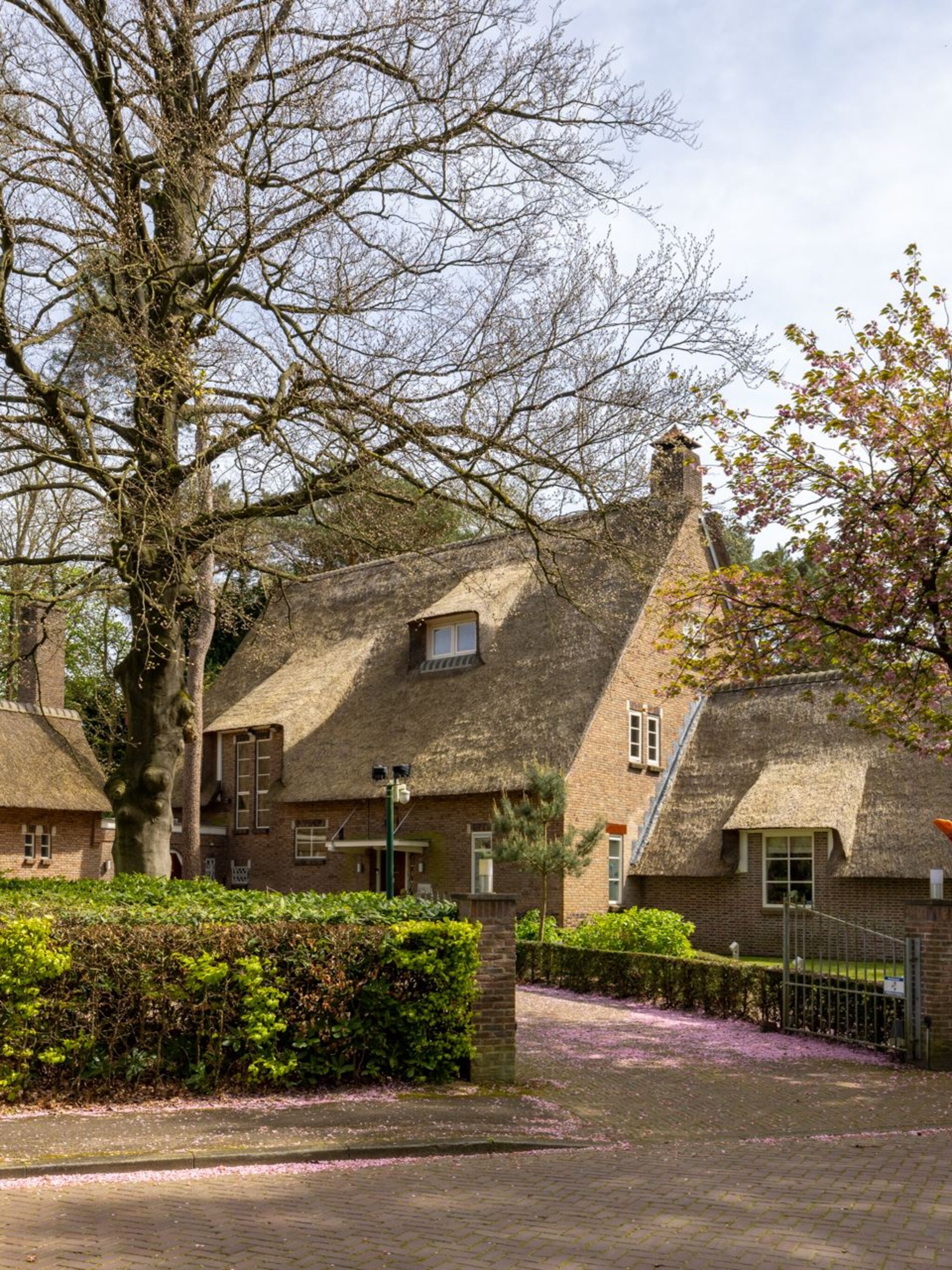 landhuis breda met zwembad en wijnkelder