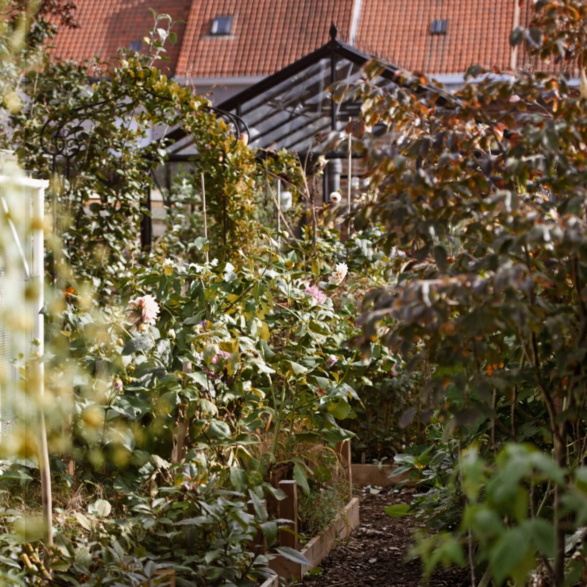 Buitenkijken in een groene tuin