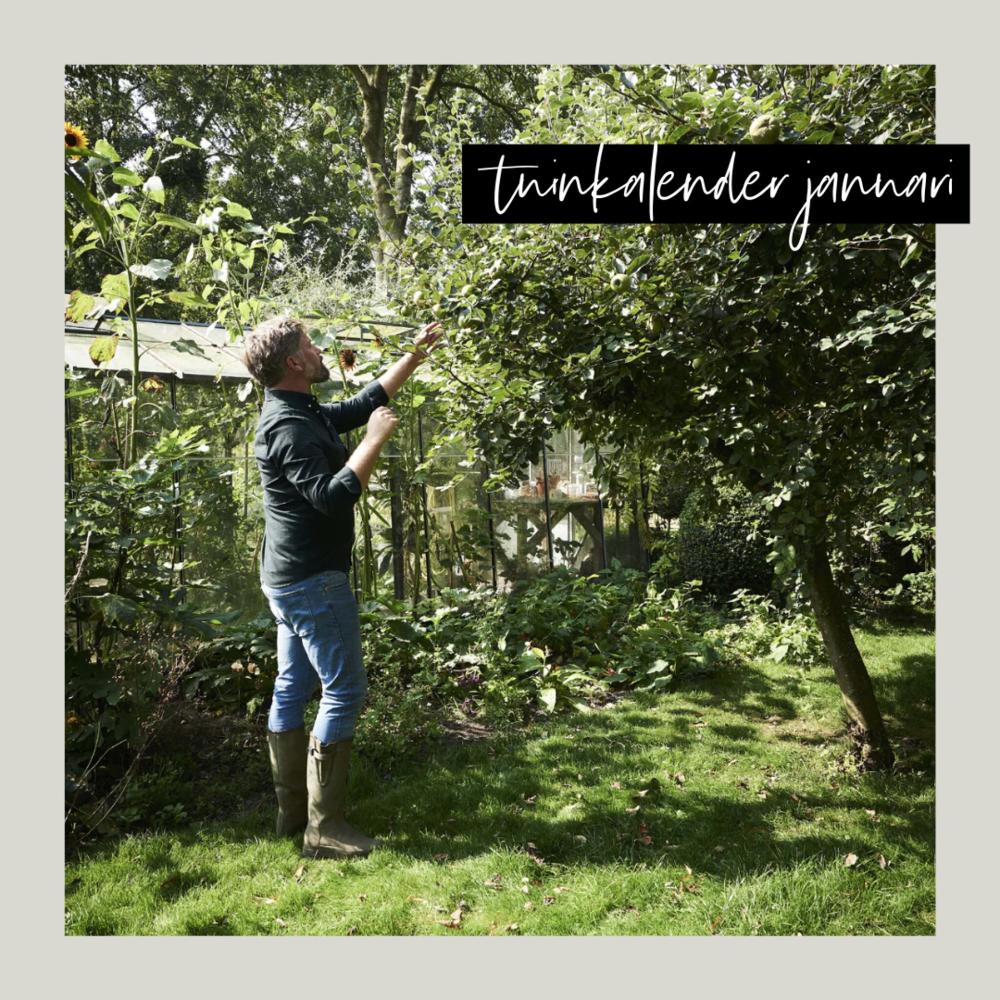 Tuinkalender januari