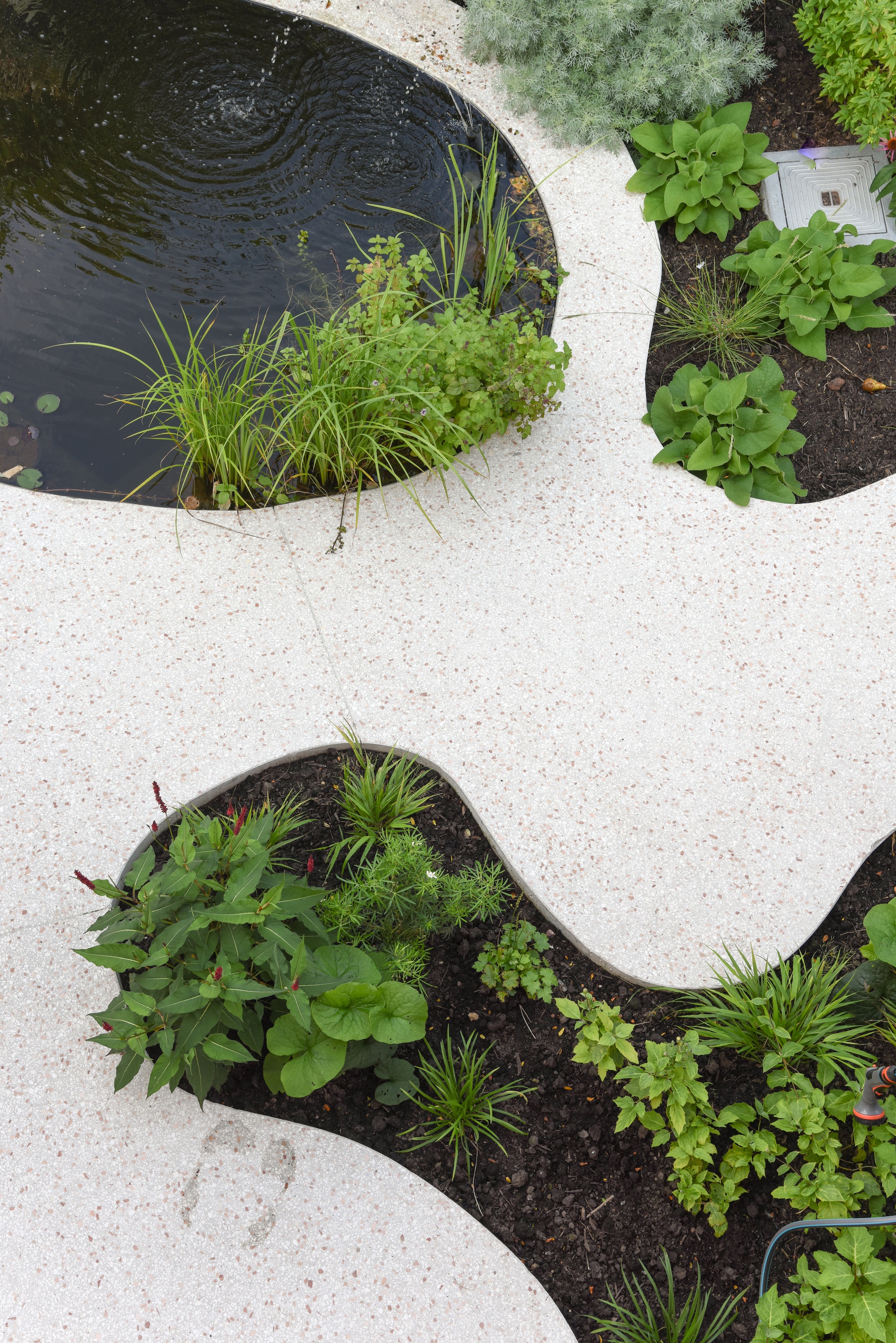 Vijverplanten: watermunt, gele lis en waterlelie. Het tuinpad is van terrazzobeton - beton gemengd met stukjes marmer, zandsteen, graniet of glas. vtwonen TUIN 01-2025 | fotografie Veronique De Walsche