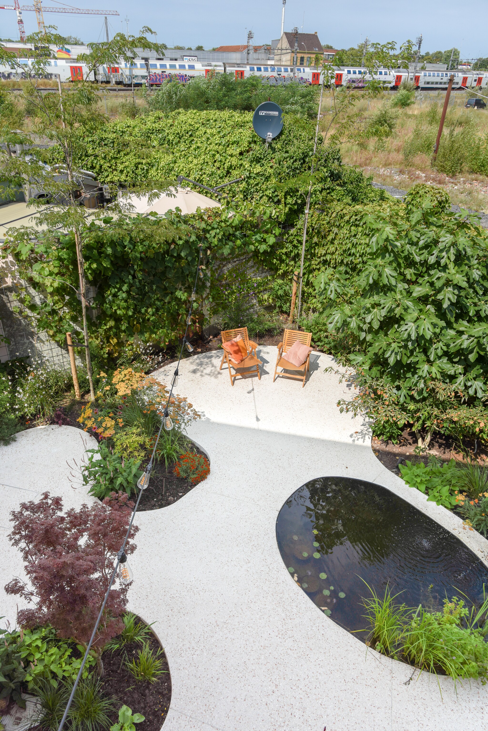Tegen de muren zijn verschillende klimplanten te zien waaronder een druif, Chinese wilde wingerd, wilde wingerd, een doornloze braam, een doornloze framboos, trompetklimmer, Duitse pijp, clematis ‘Blue Bird’ en Toscaanse jasmijn. Op de achtergrond staat Lindheimers prachtkaars ‘Whirling Butterflies’ in bloei, net als de duizendknoop ‘Blackfield’ en ‘Rosea’. De houten stoeltjes zijn de Folding Armchairs van Niko Kralj en zijn tweedehands. Kussen Røros Tweed. vtwonen TUIN 01-2025 | fotografie Veronique De Walsche
