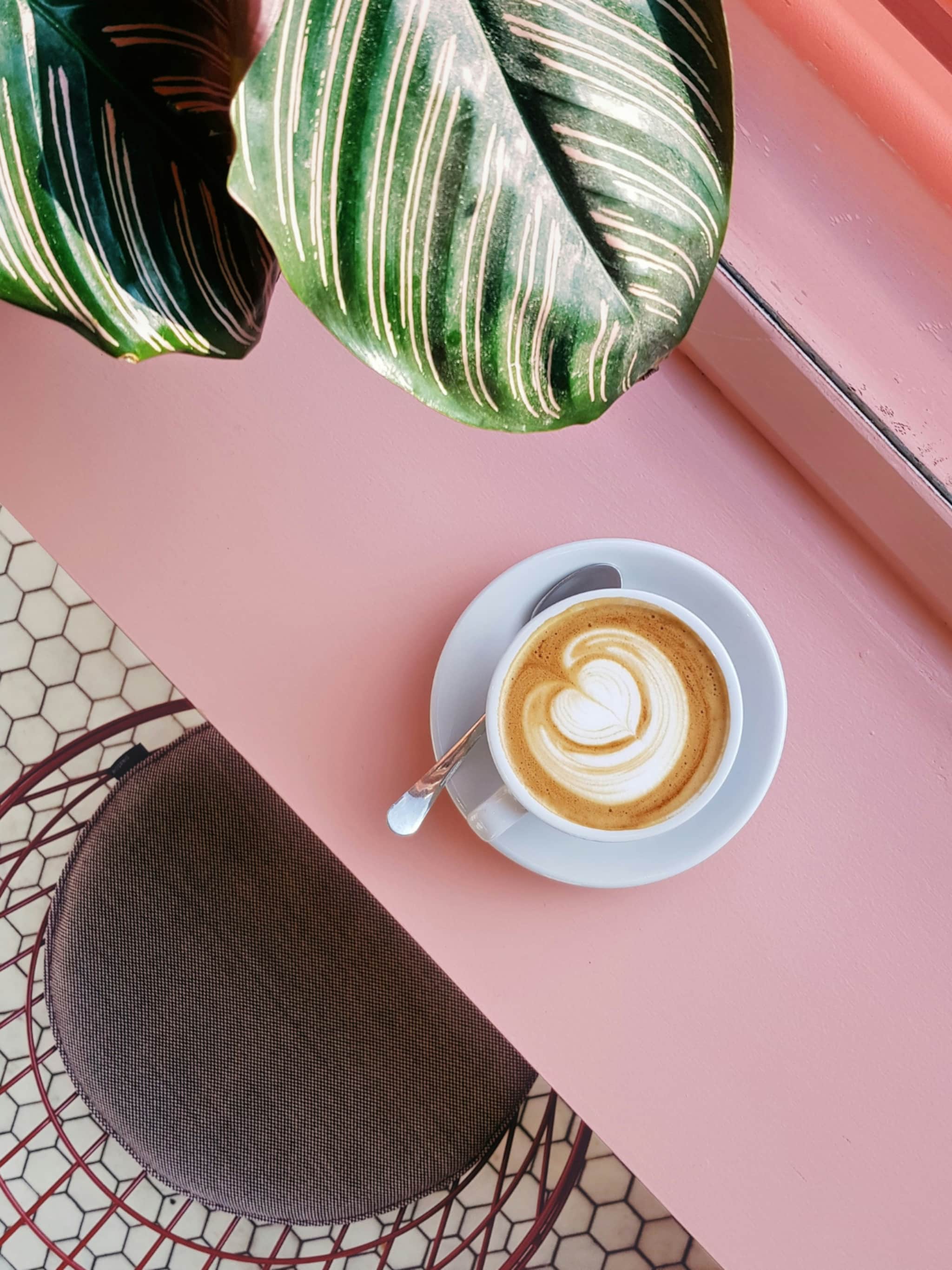 koffiedik in de tuin