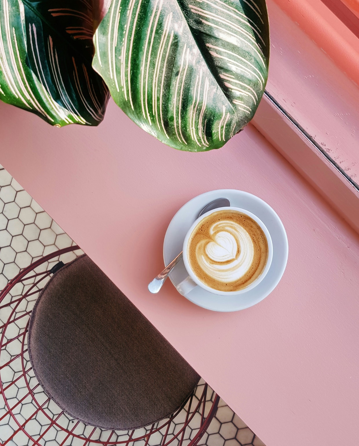 Het zwarte goud voor planten: zo gebruik je koffiedik in de tuin Unsplash
