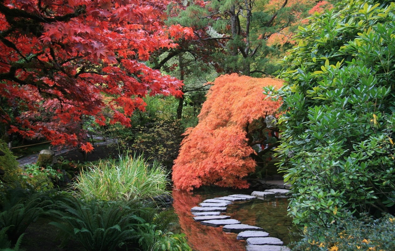 Japanse tuin Pixabay