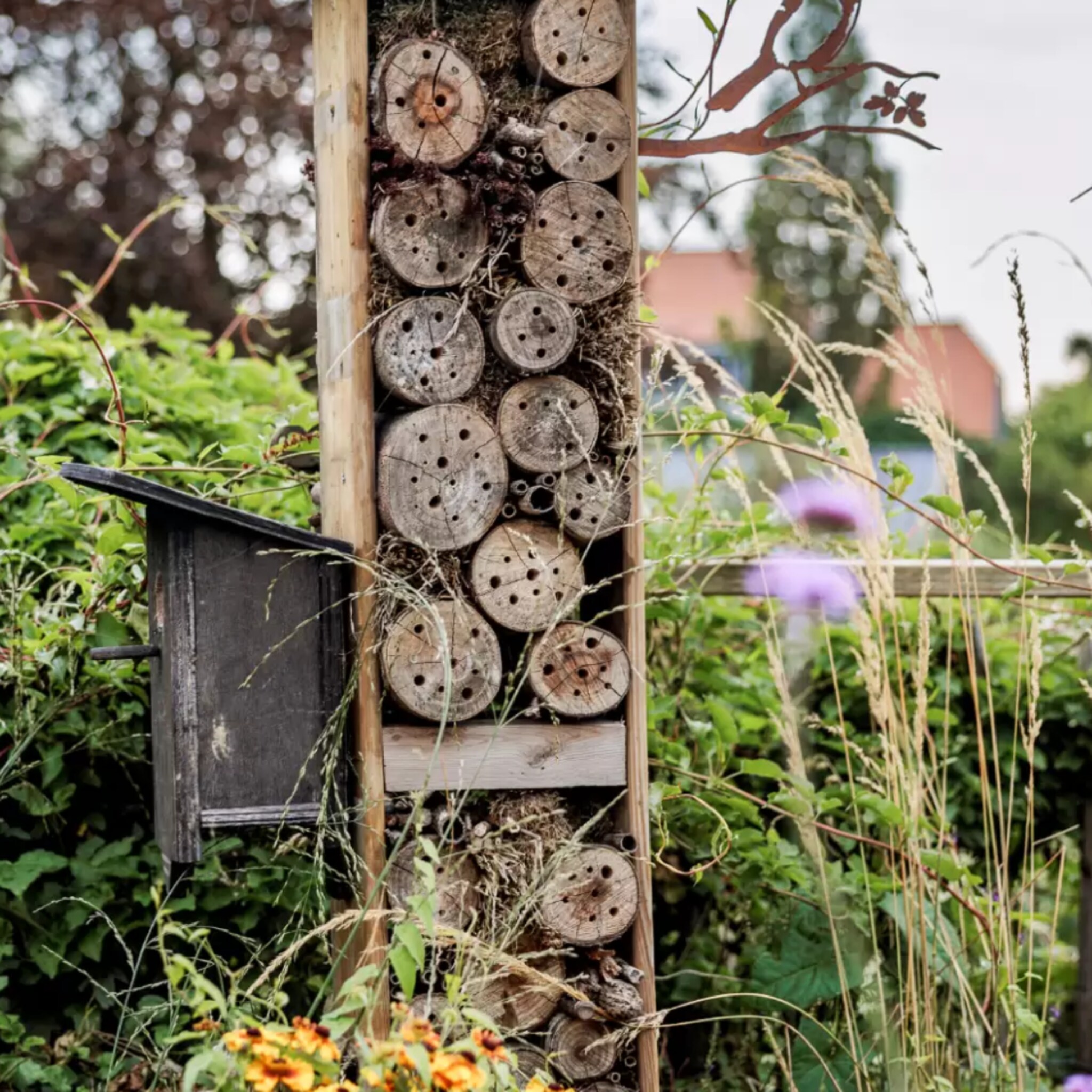 Tuin met een insectenhotel