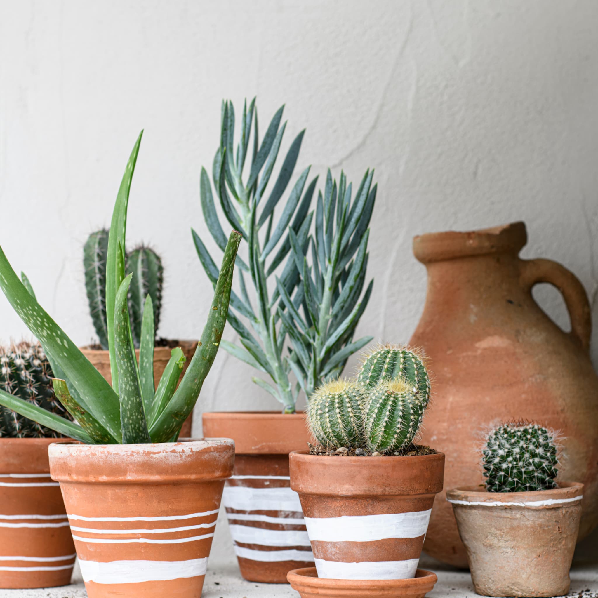 linkinbio-20250215-diy-terra-bloempot