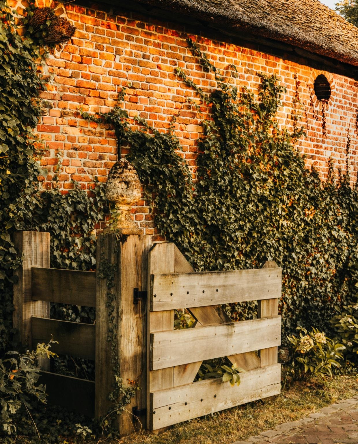 Hoe richt je een landelijke tuin in? Eline Spee
