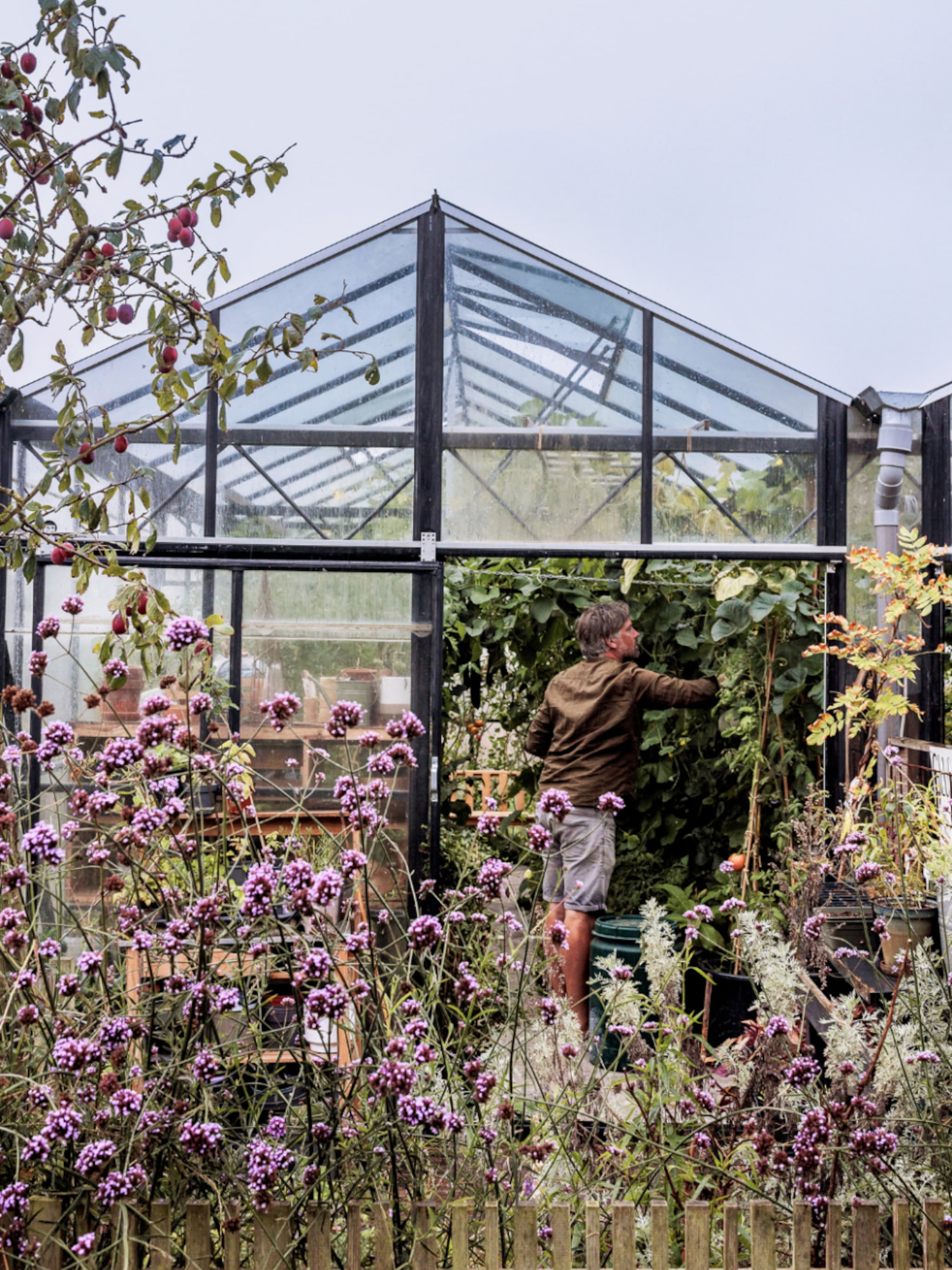 tuin trends van 2026