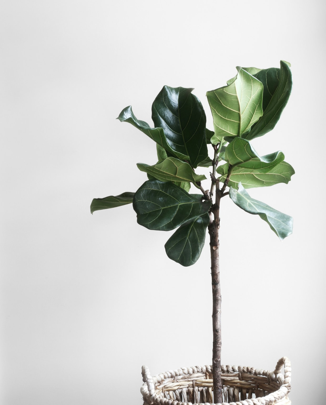 unsplash unsplash