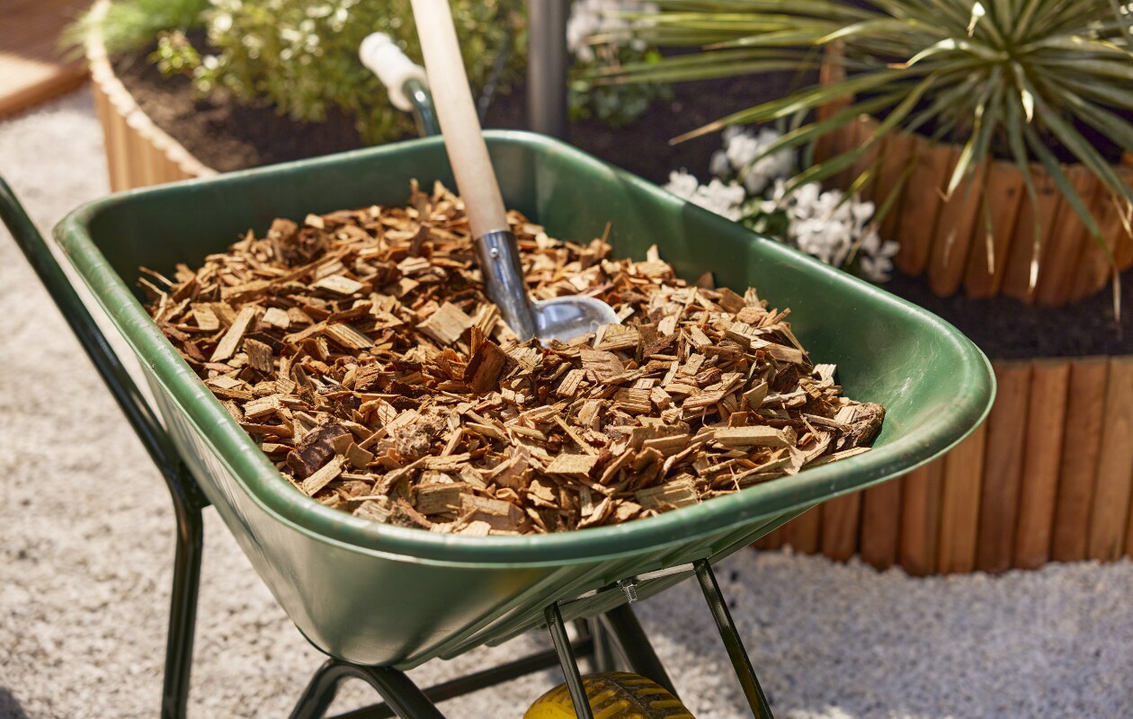 naar buiten met deze 5 klussen maak je je tuin voorjaarsklaar