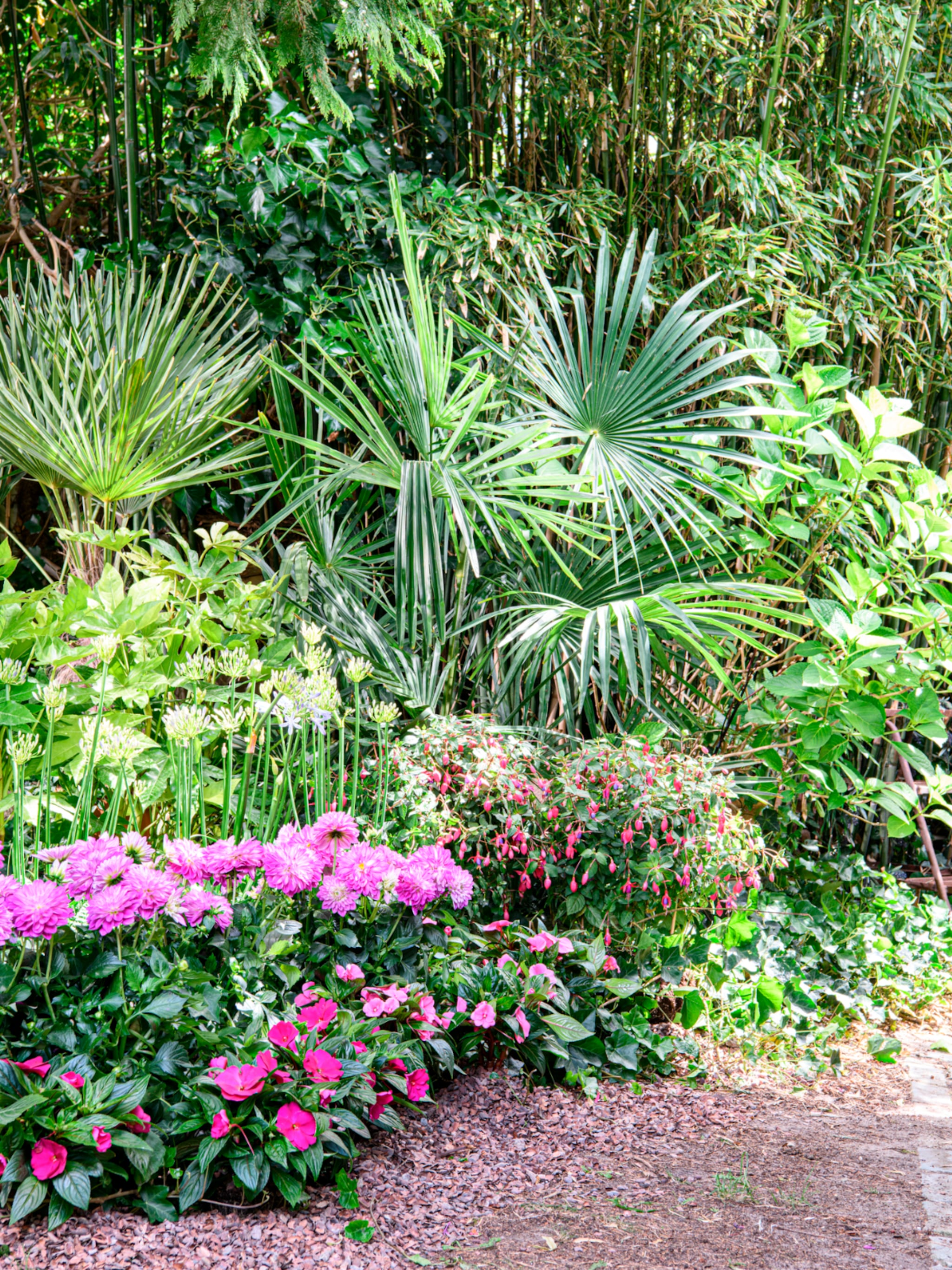 groen doen breng je tuin tot leven in 7 stappen