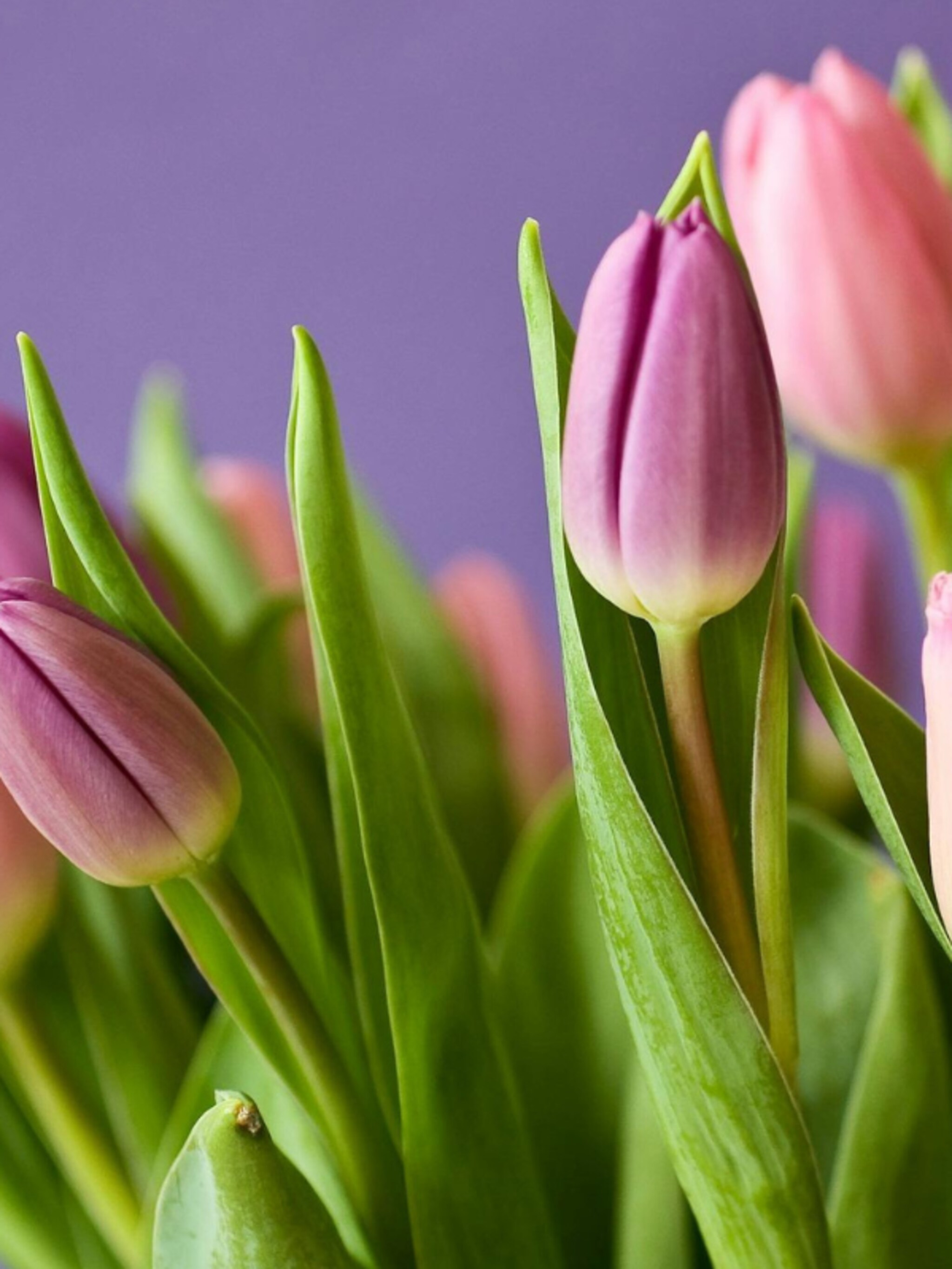 6 ideeen voor paasbloemstukken op tafel
