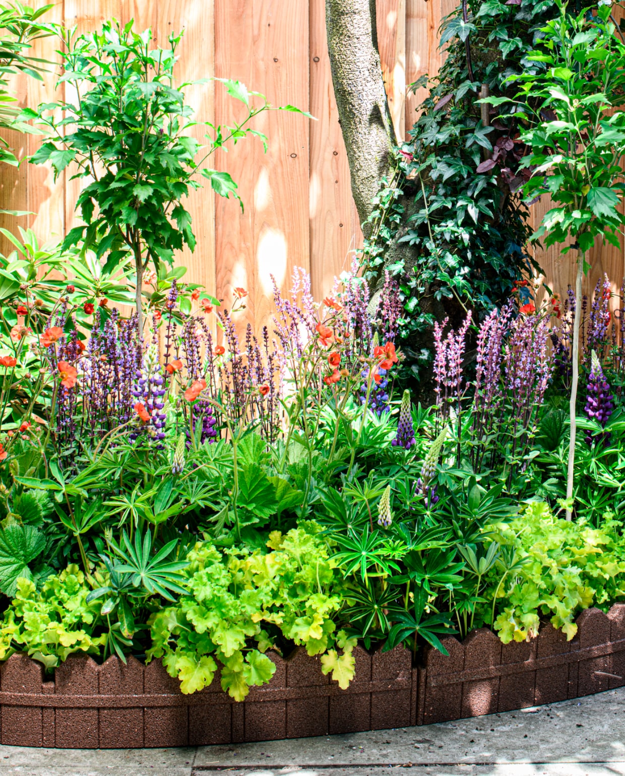 groen doen breng je tuin tot leven in 7 stappen