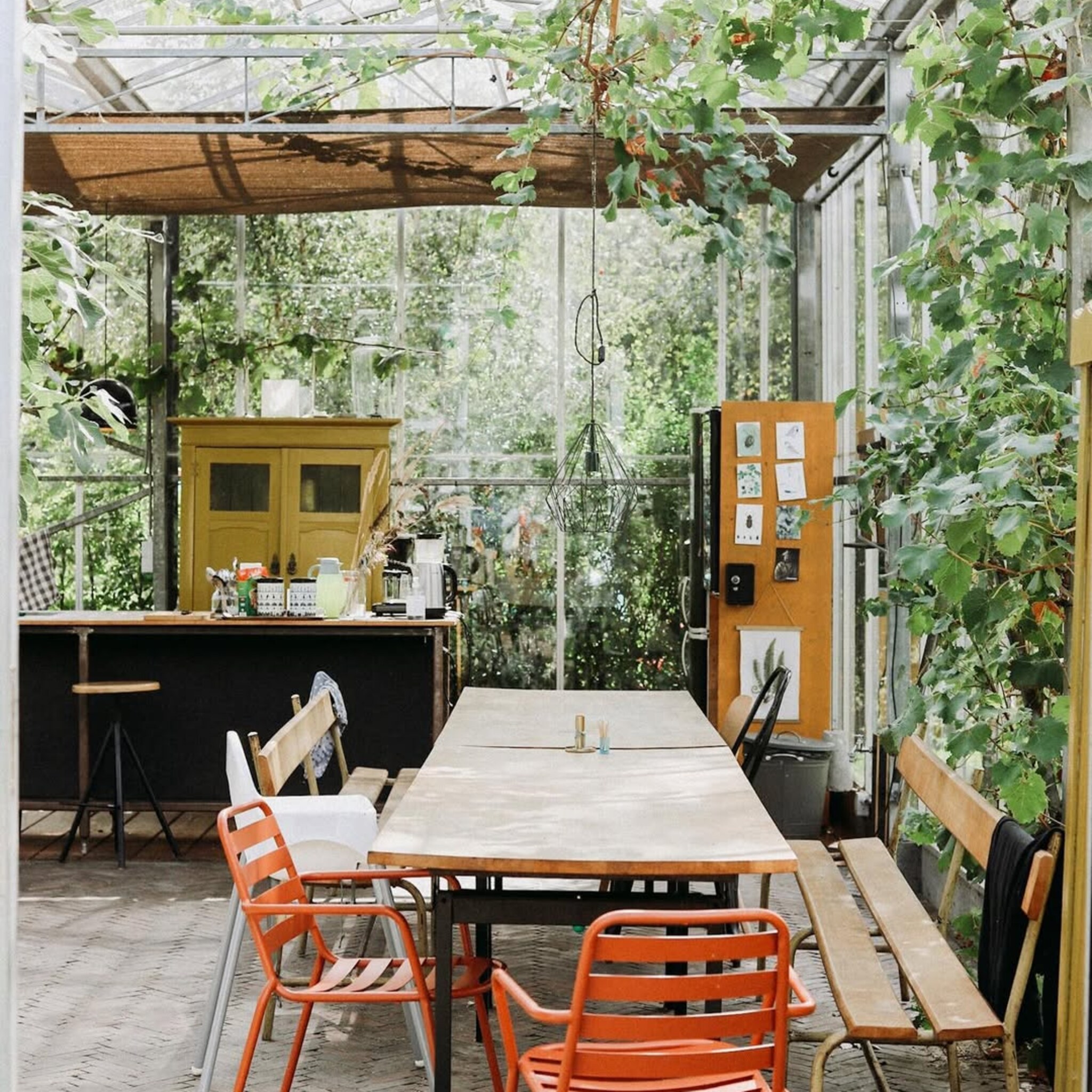 linkinbio-20250315-hotspots-natuurcampings