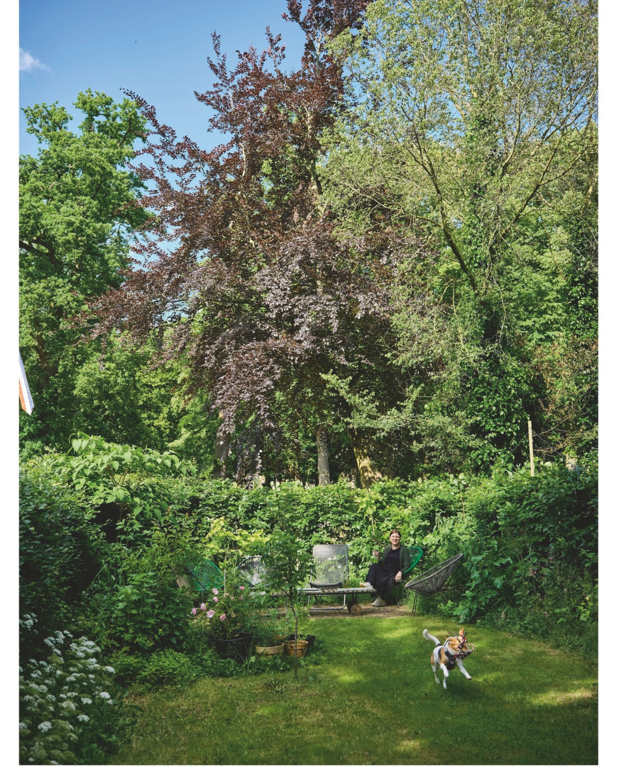 vtwonen 03-2025 | fotografie René van der Hulst