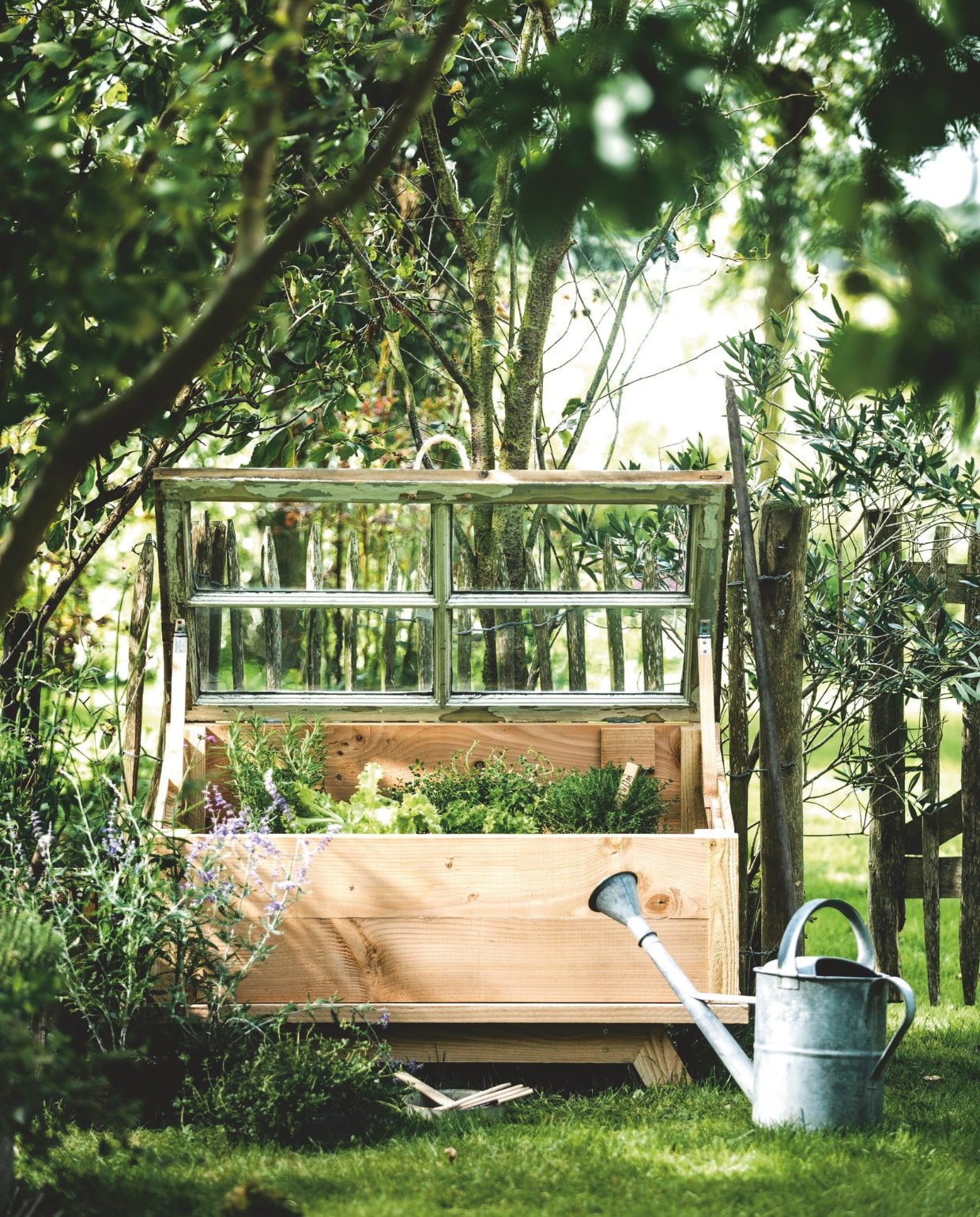 In de bak diverse soorten sla en kruiden, op de grond kattenkruid en citroentijm. Planten (deboet.nl). vtwonen 03-2025 | styling Esther Jostmeijer | fotografie Sjoerd Eickmans | diy Janneke Peters, Jef van Tricht