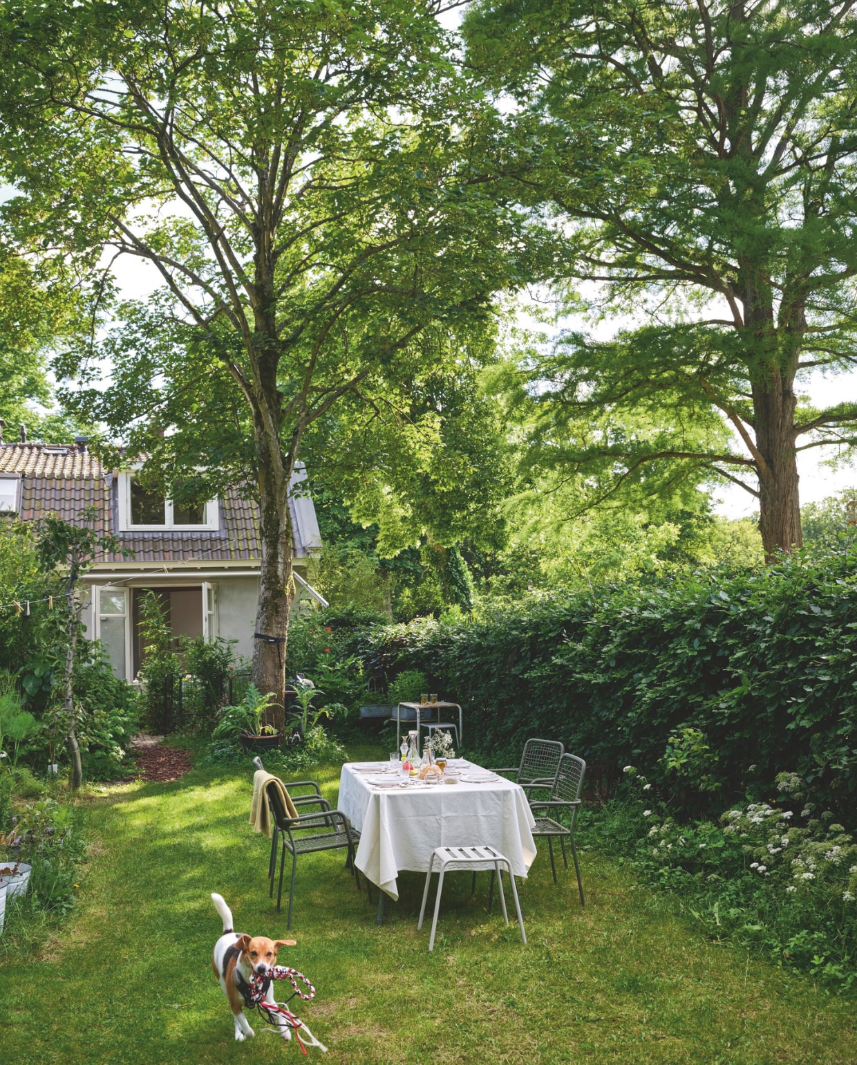 Tuinstoelen Karwei. Tuintafel Tavira Gamma. Tafelkleed en borden Brigit Vermeulen. vtwonen 03-2025 | fotografie René van der Hulst