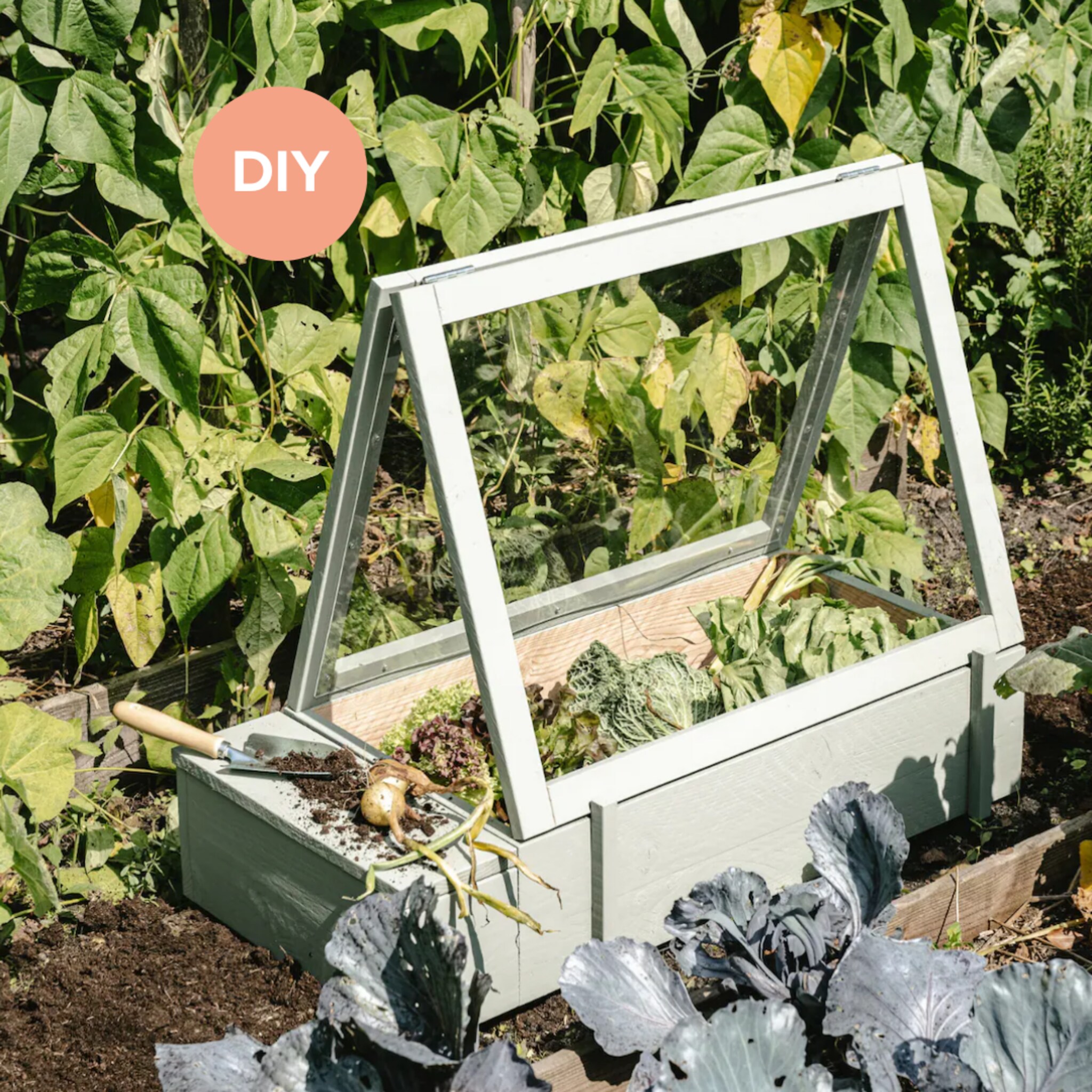 linkinbio-tuin-20250411-diy-kweekkas
