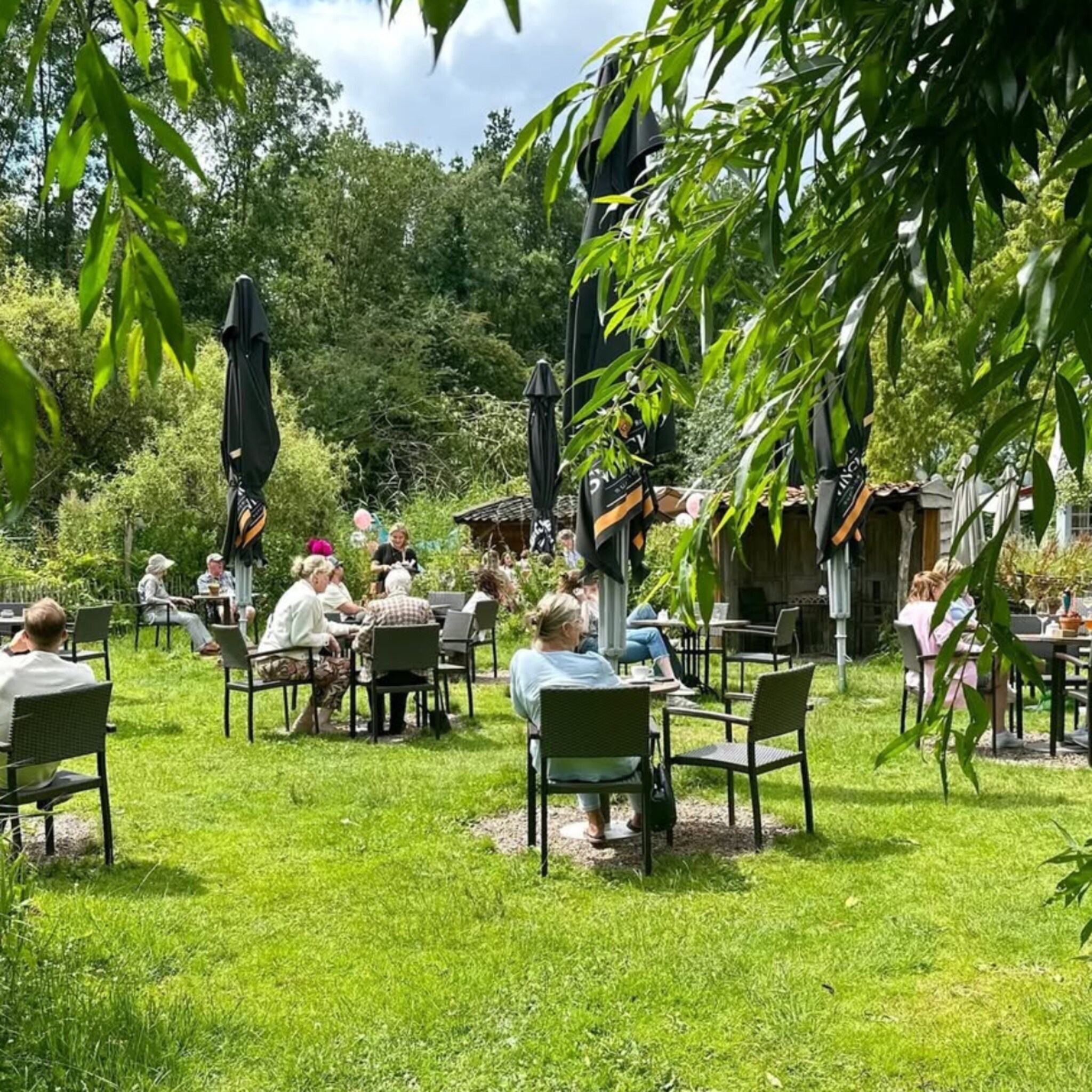 Hotspot theetuin Eemnes