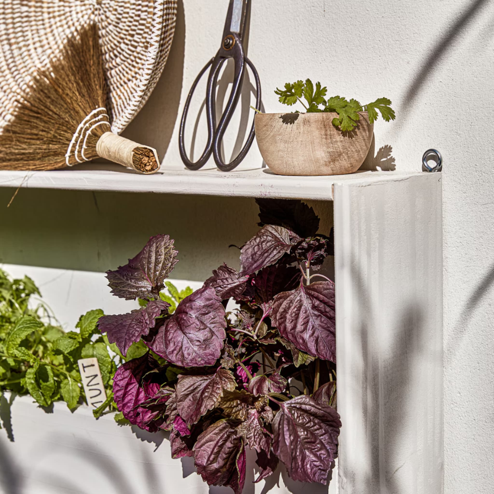 linkinbiotuin-20250417-moestuin-aanleggen