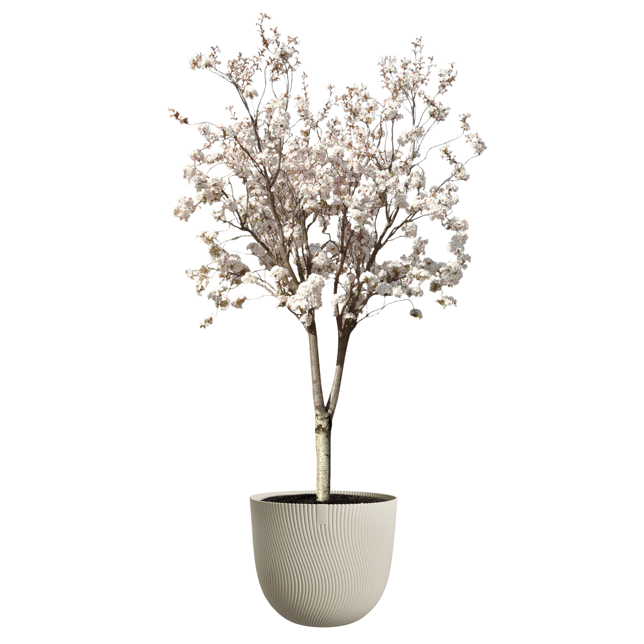 elho Sereh Mushroom beige