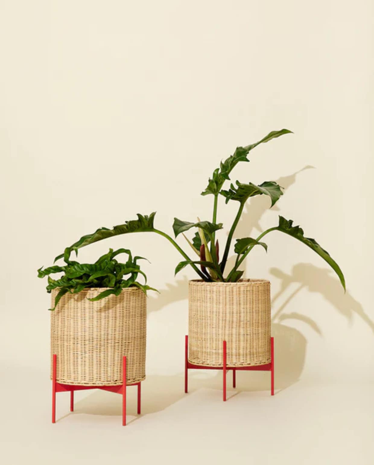Shop op shop.vtwonen.nl: Hübsch pot Splint, ijzer en rotan, 30x40 cm (Øxh) € 120,-. Hübsch