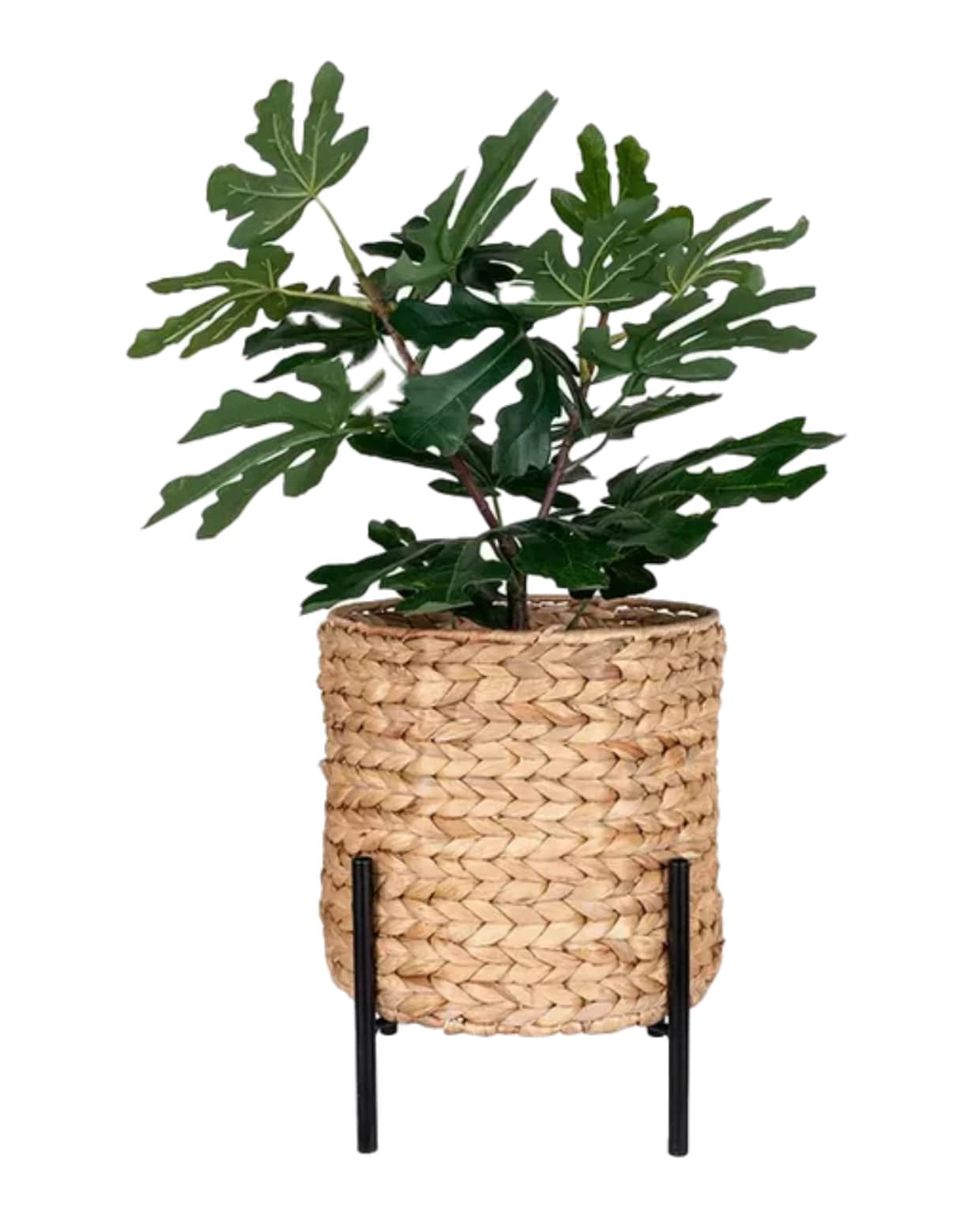 Shop op shop.vtwonen.nl: Artichok bloempot Line, waterhyacint en metaal, 23,5x28 cm (Øxh) € 33,50. Artichok