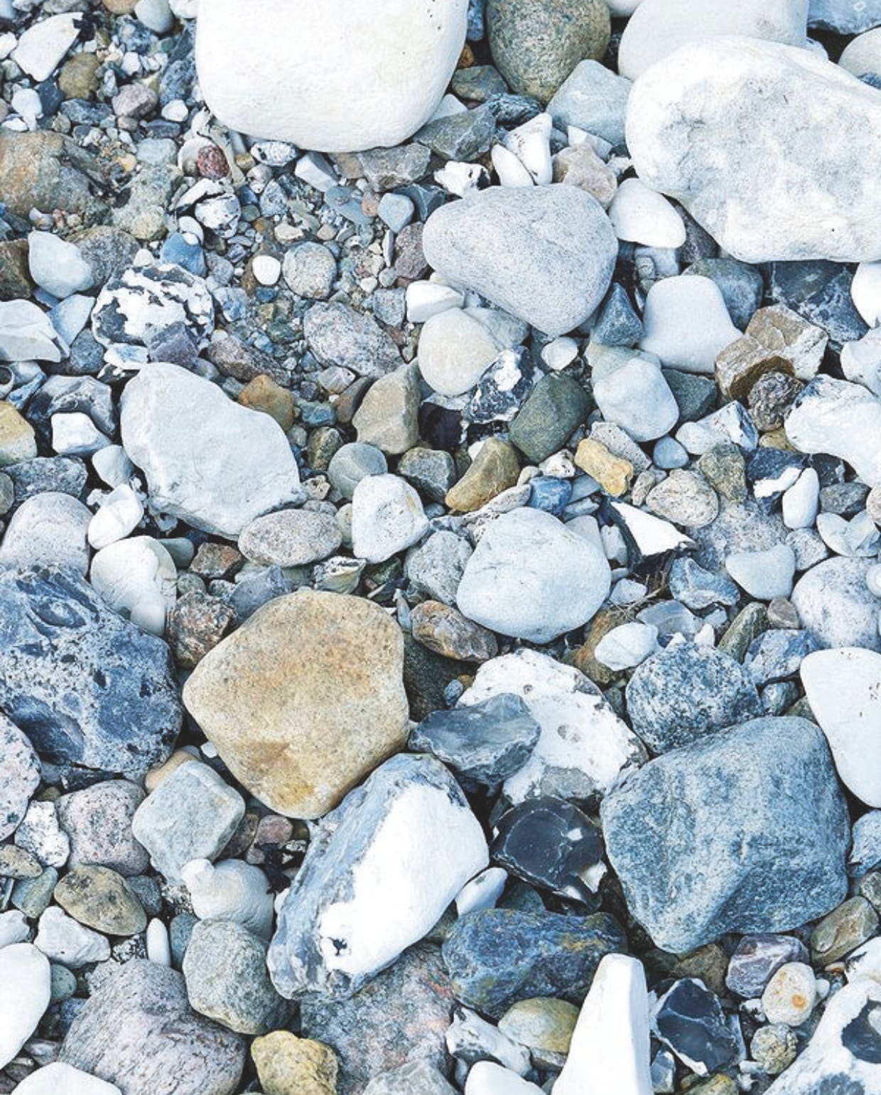 Als strandjutters komt de familie na een wandeling steevast terug met keitjes en schelpen. De lichtgrijze en blauwe tinten van de strandvondsten passen perfect bij het kleurpalet van het vakantiehuis. vtwonen landelijk 04-2025 | Styling Rikke Graff Juel | Fotografie Anitta Behrendt