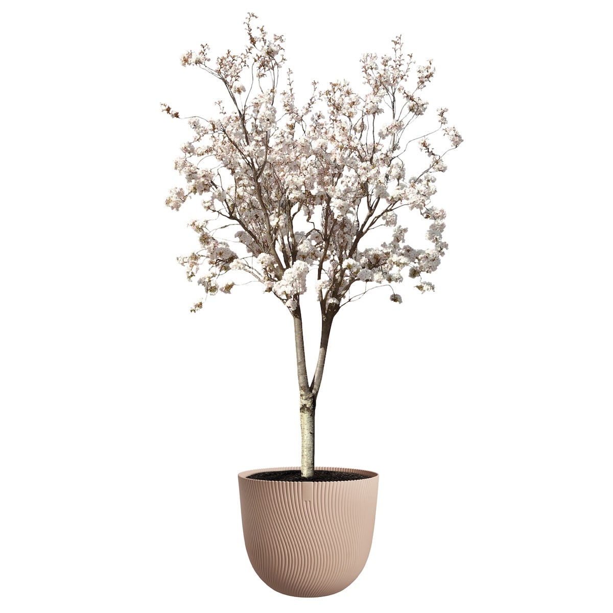 sereh-pot in cool clay