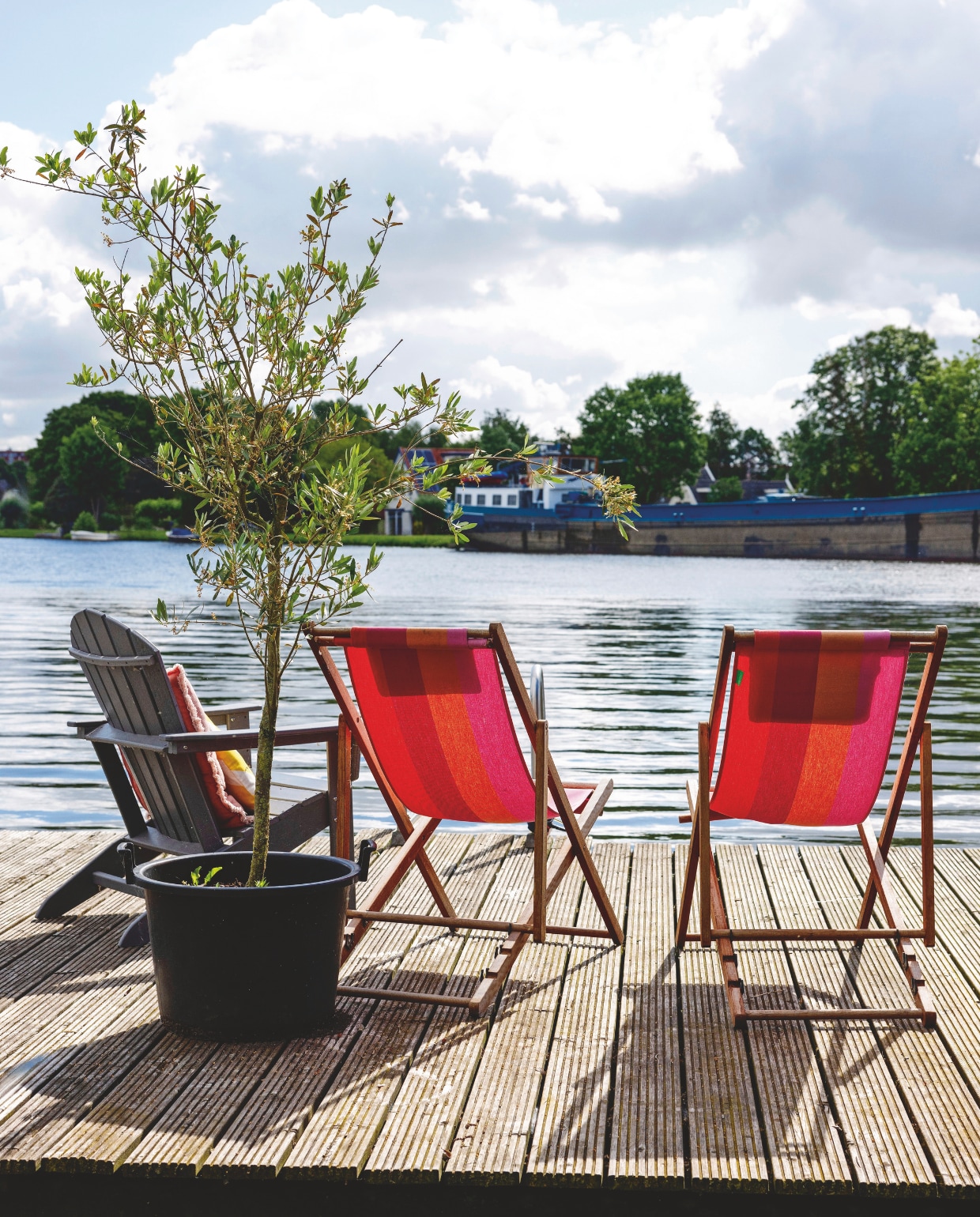 Grijze stoel Sissy-Boy. Tuinstoelen Marktplaats. vtwonen 05-2025 | styling Ilona Jongepier | fotografie Dana van Leeuwen | tekst Chris Muyres