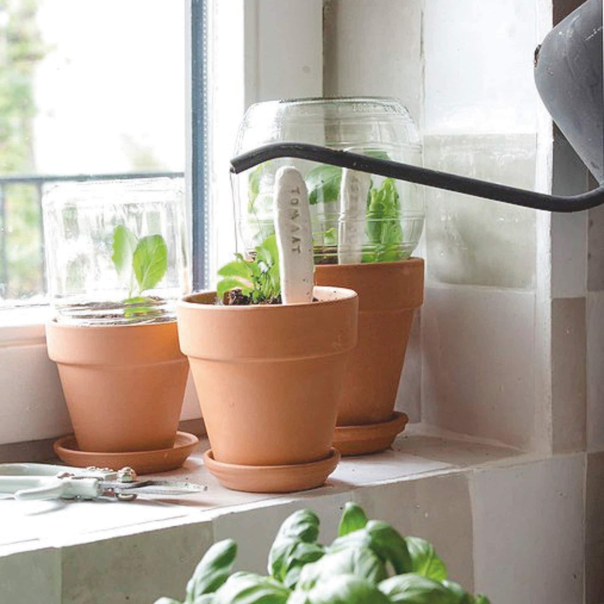 mini moestuin maken stappenplan