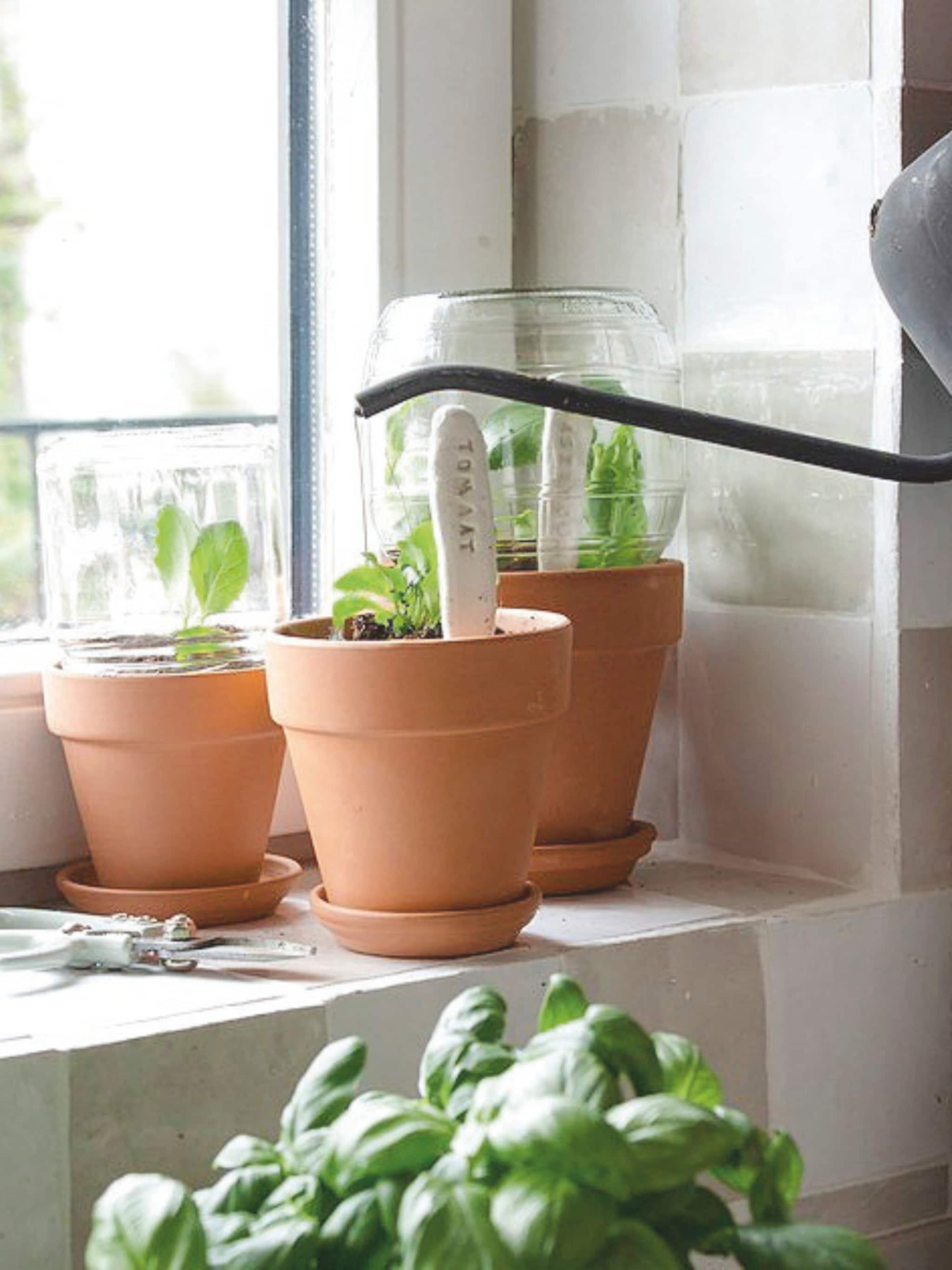 mini moestuin maken stappenplan