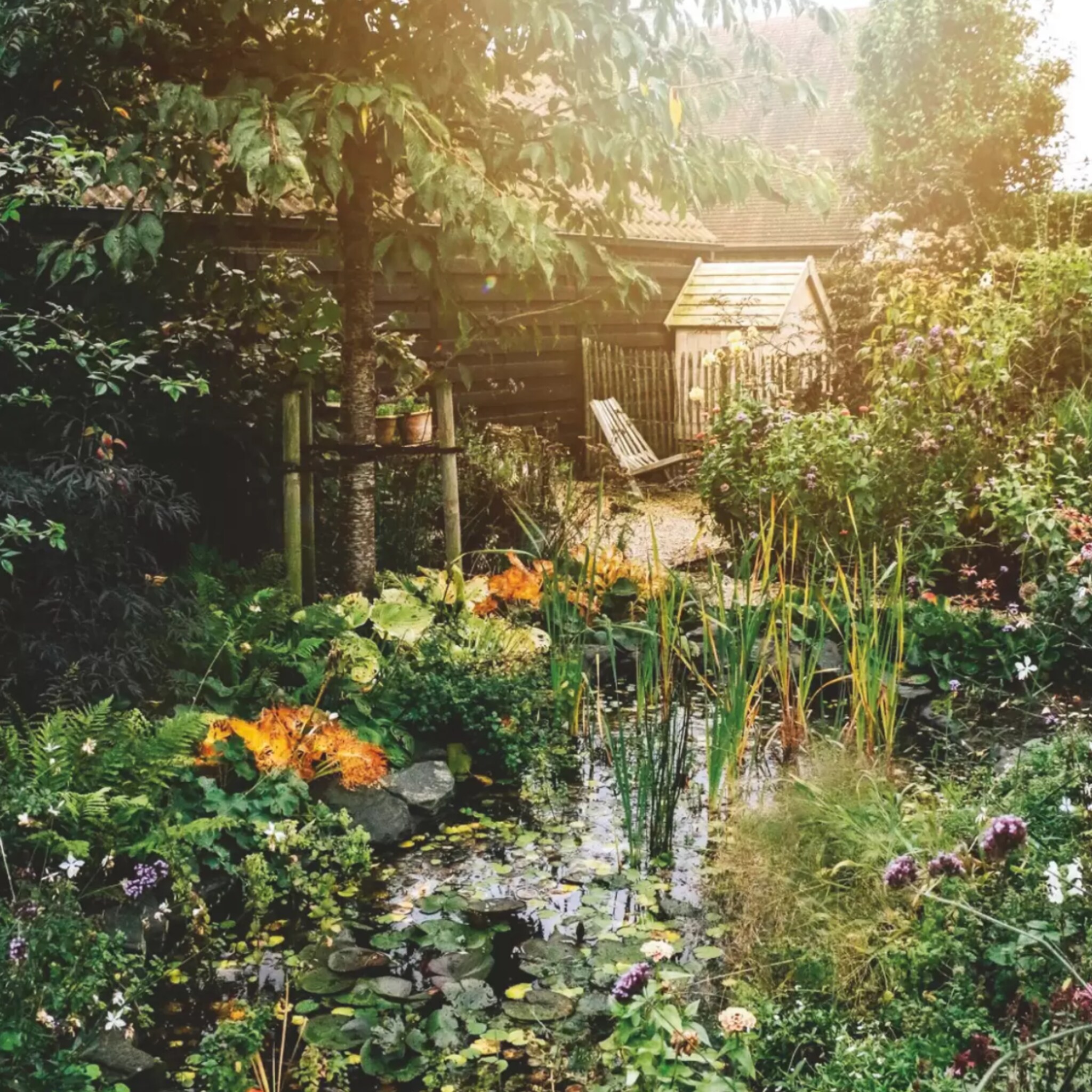 linkinbio-tuin-20250518-zomerborders