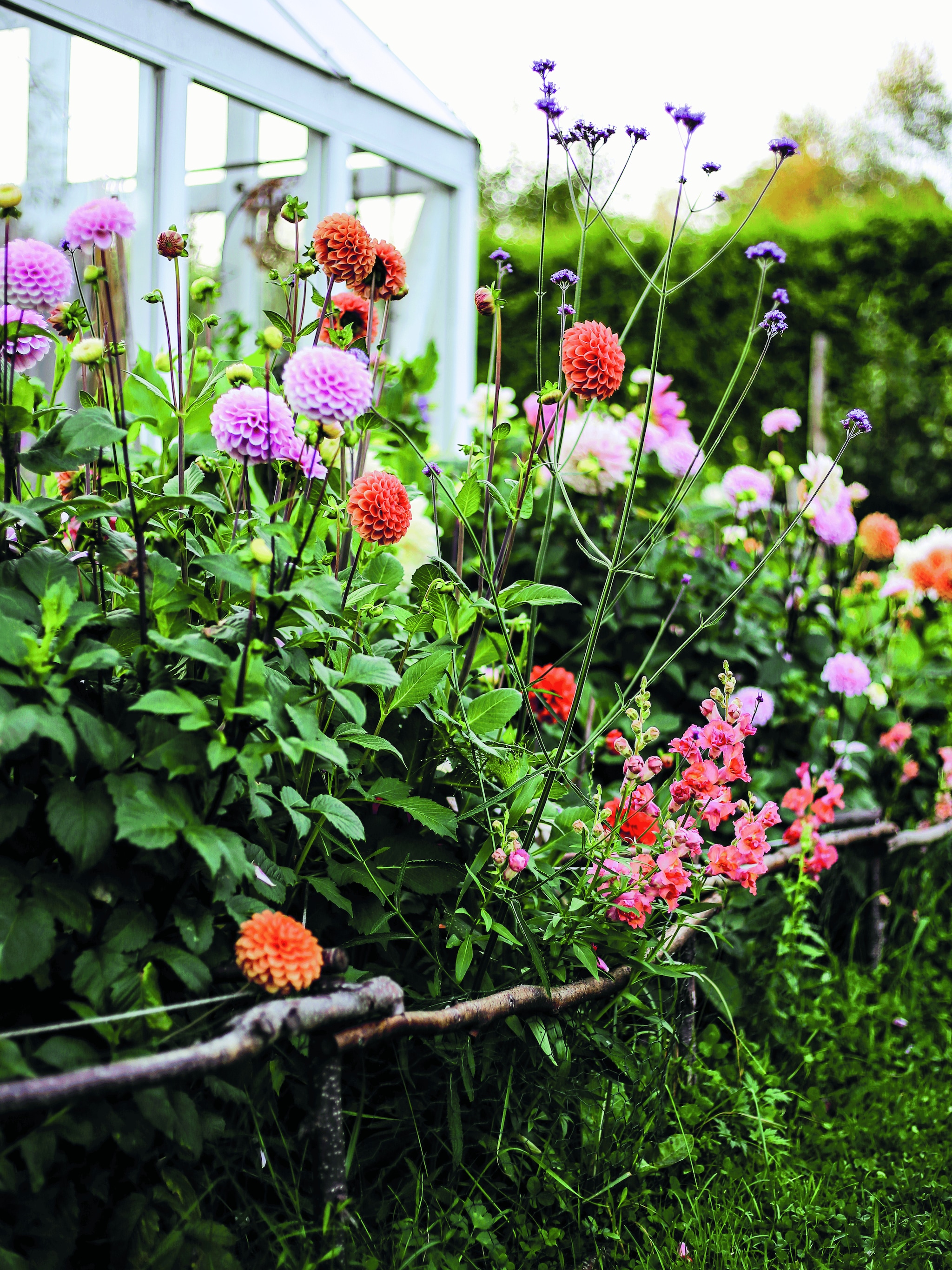 win een boek vol bloemen tips