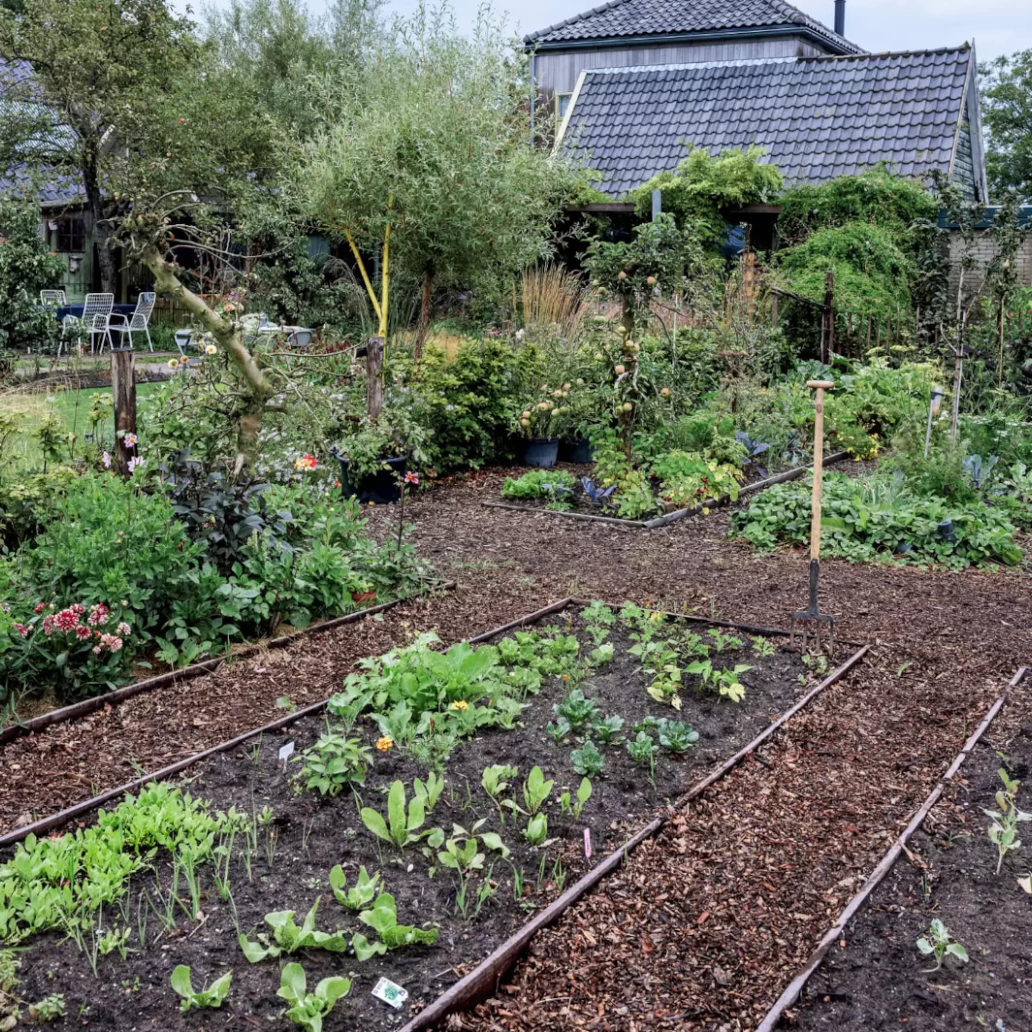 linkinbio-tuin-20250617-moestuin-juni