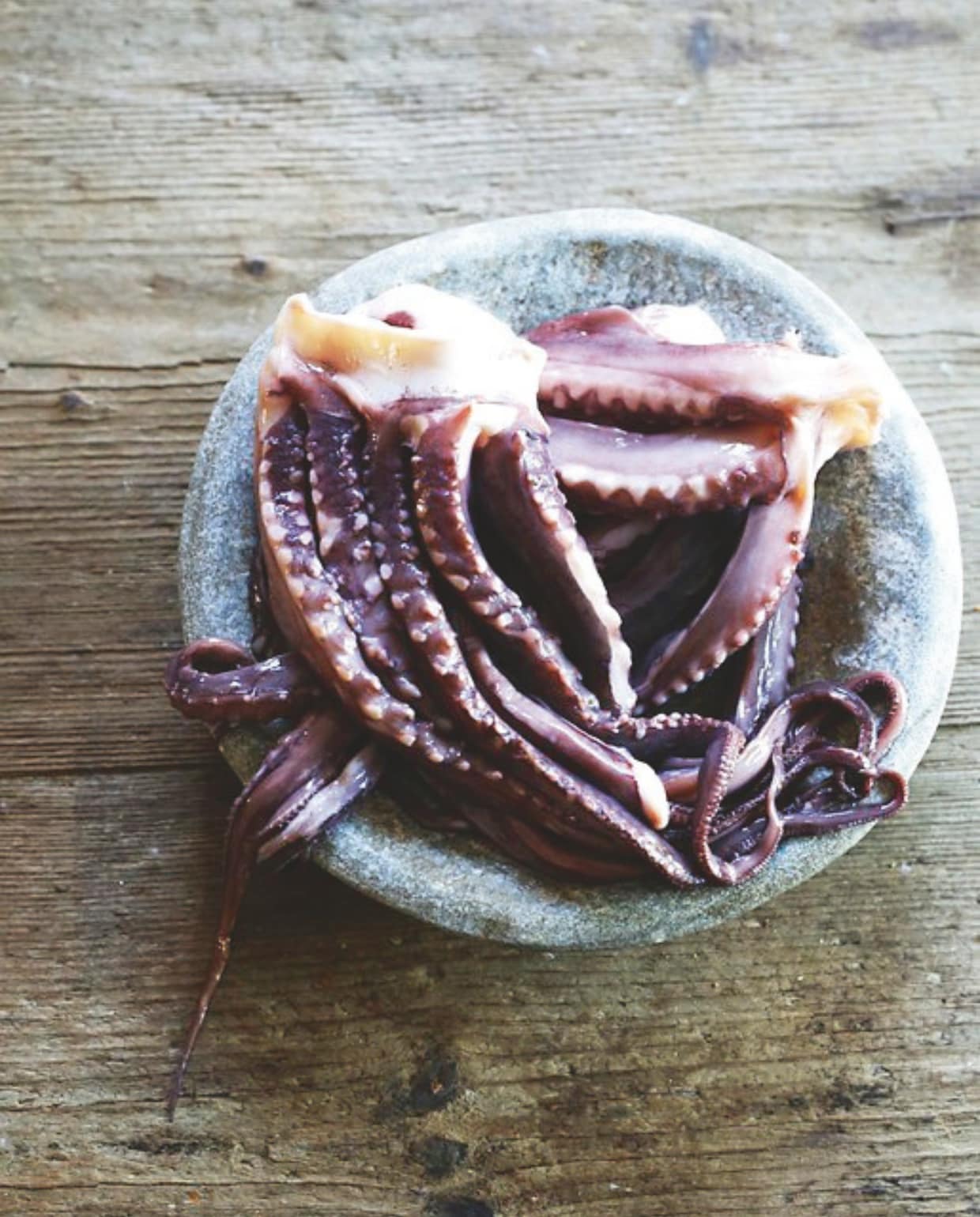 Octopus gestoofd in witte wijn vtwonen Landelijk 6-2025