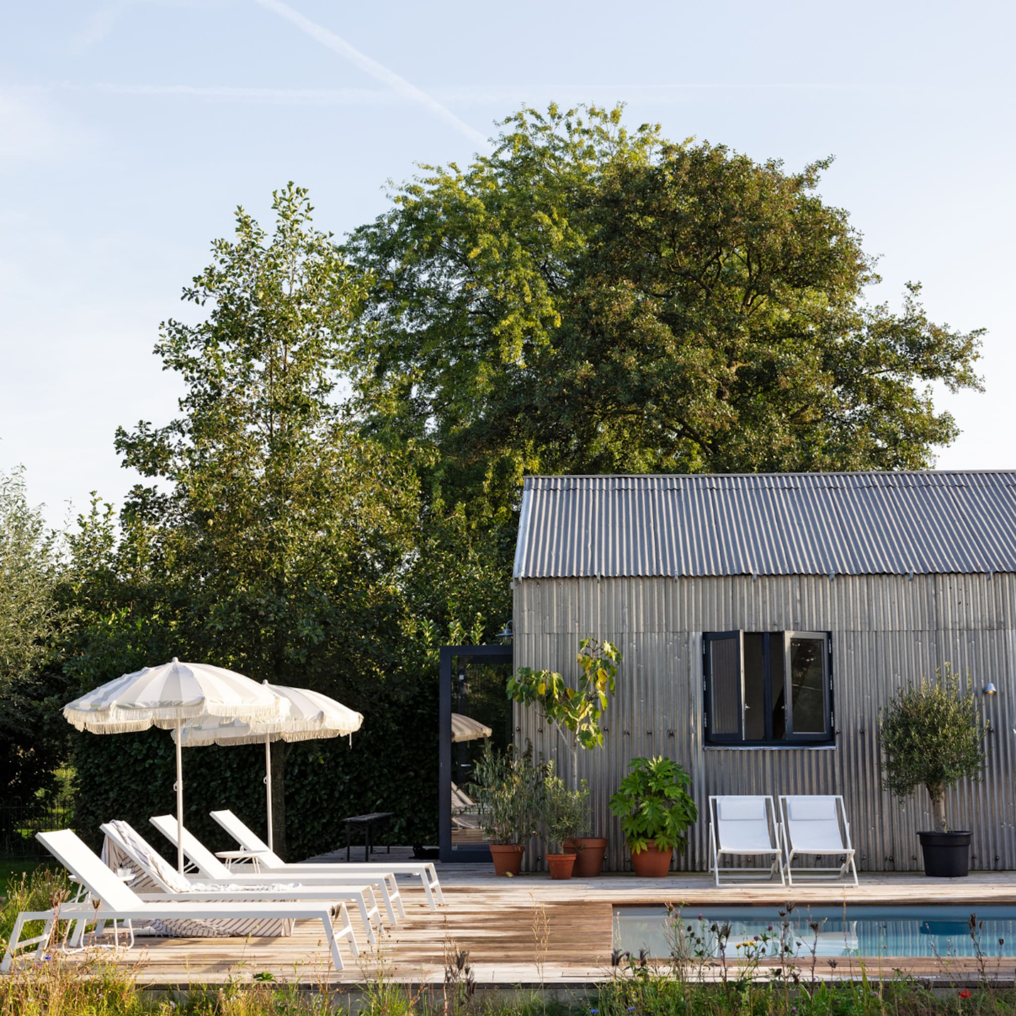 linkinbio-tuin-20250705-buitenkijken-relaxtuin