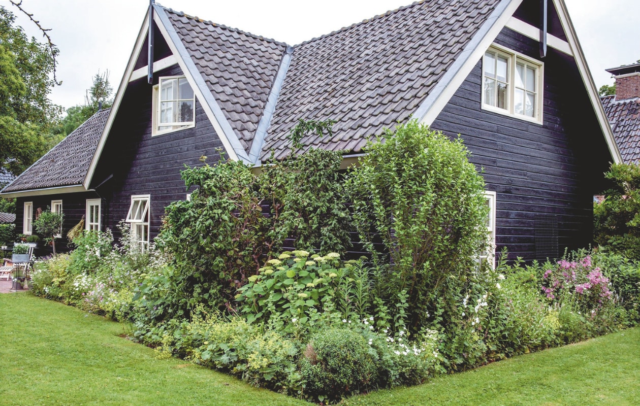 Rondom het huis groeien inheemse planten in borders. vtwonen Landelijk 06-2025 | fotografie Ton Bouwer